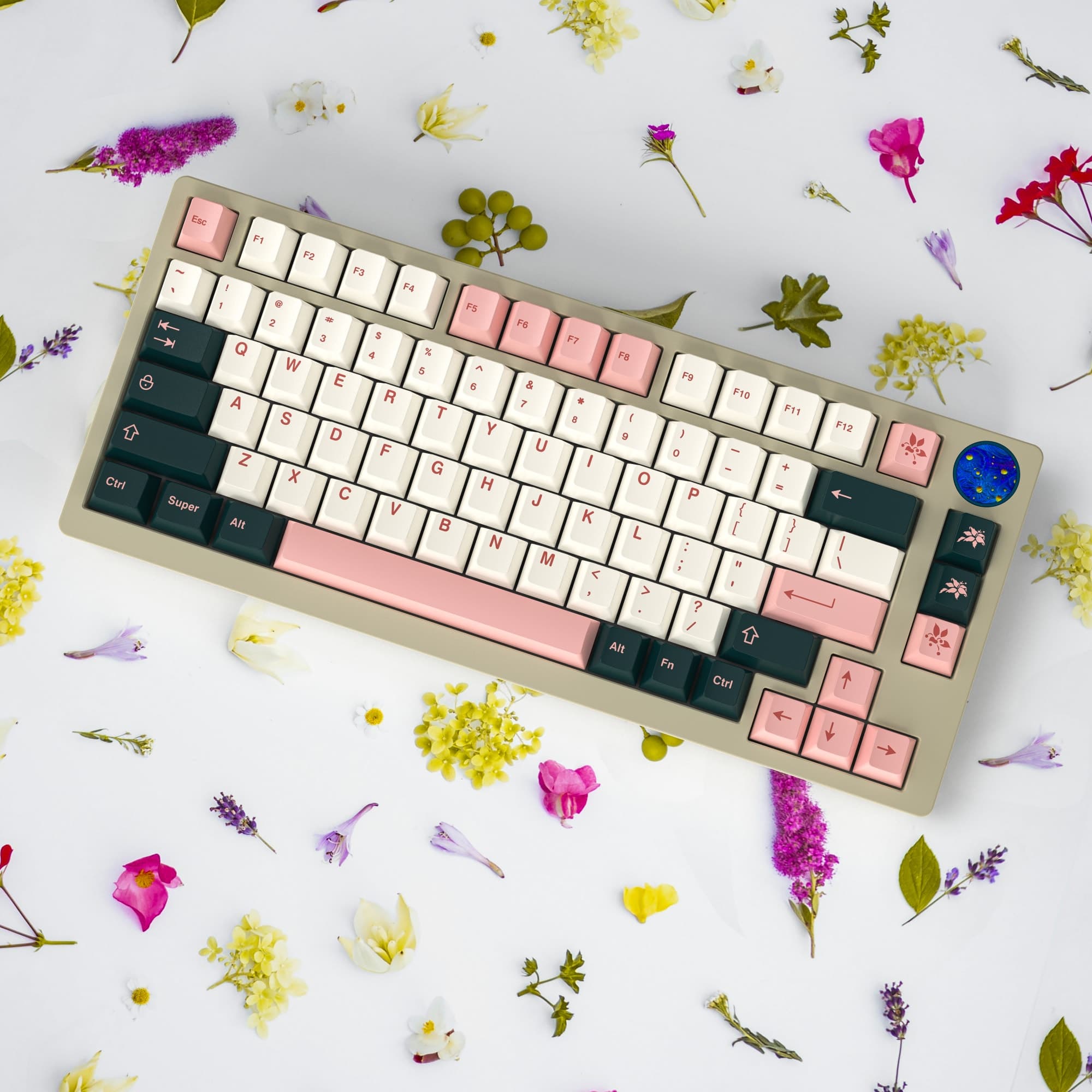 [Pre-order] ePBT Flower | Last Week image 3