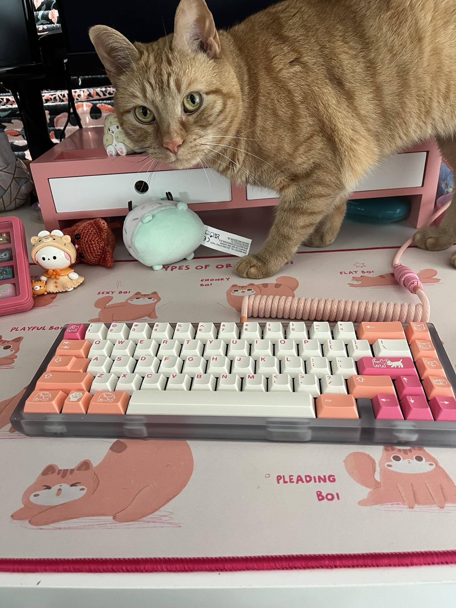 GMK Orange Boi | shipped to vendors + customers image 55