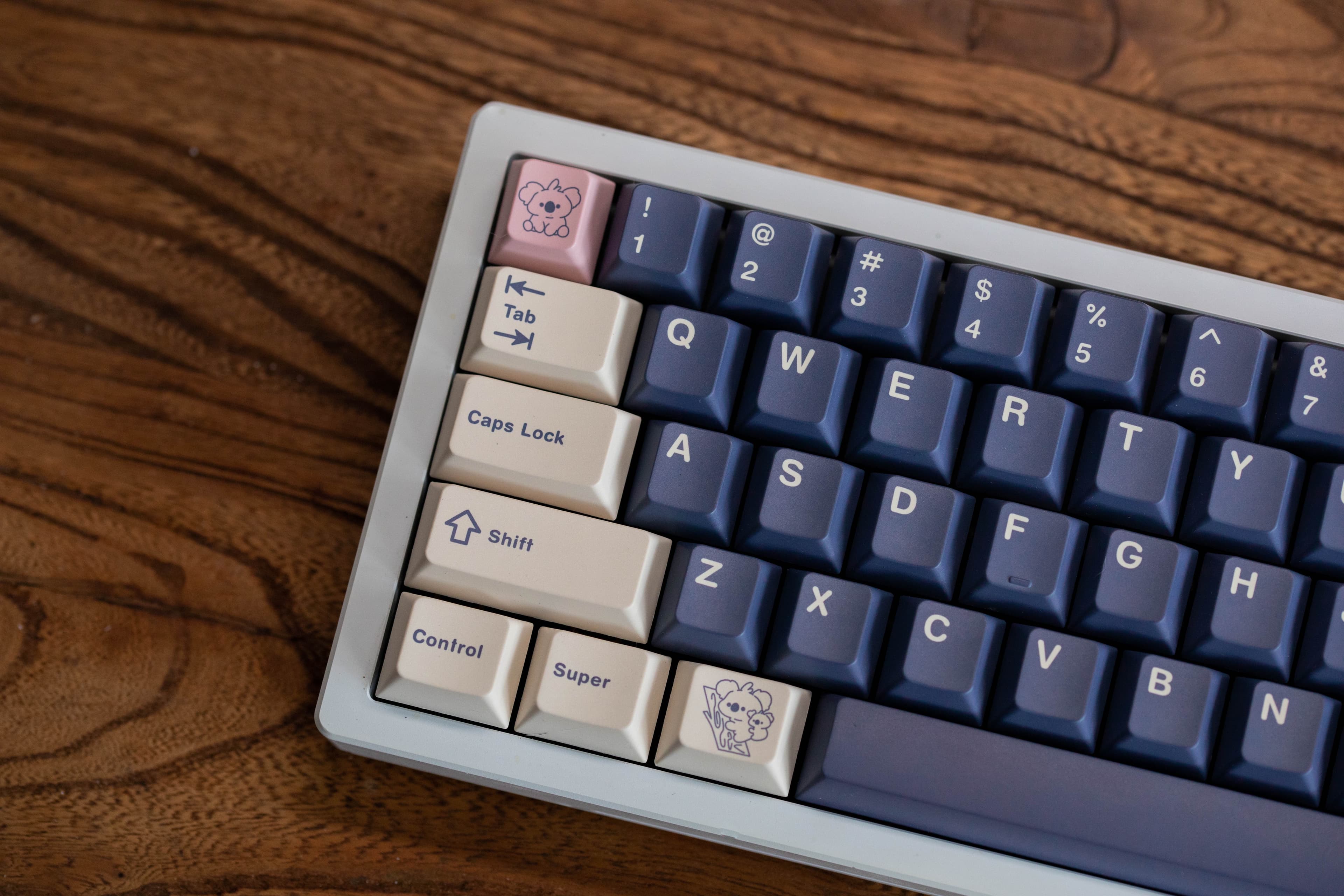 IDK - Koala image 12