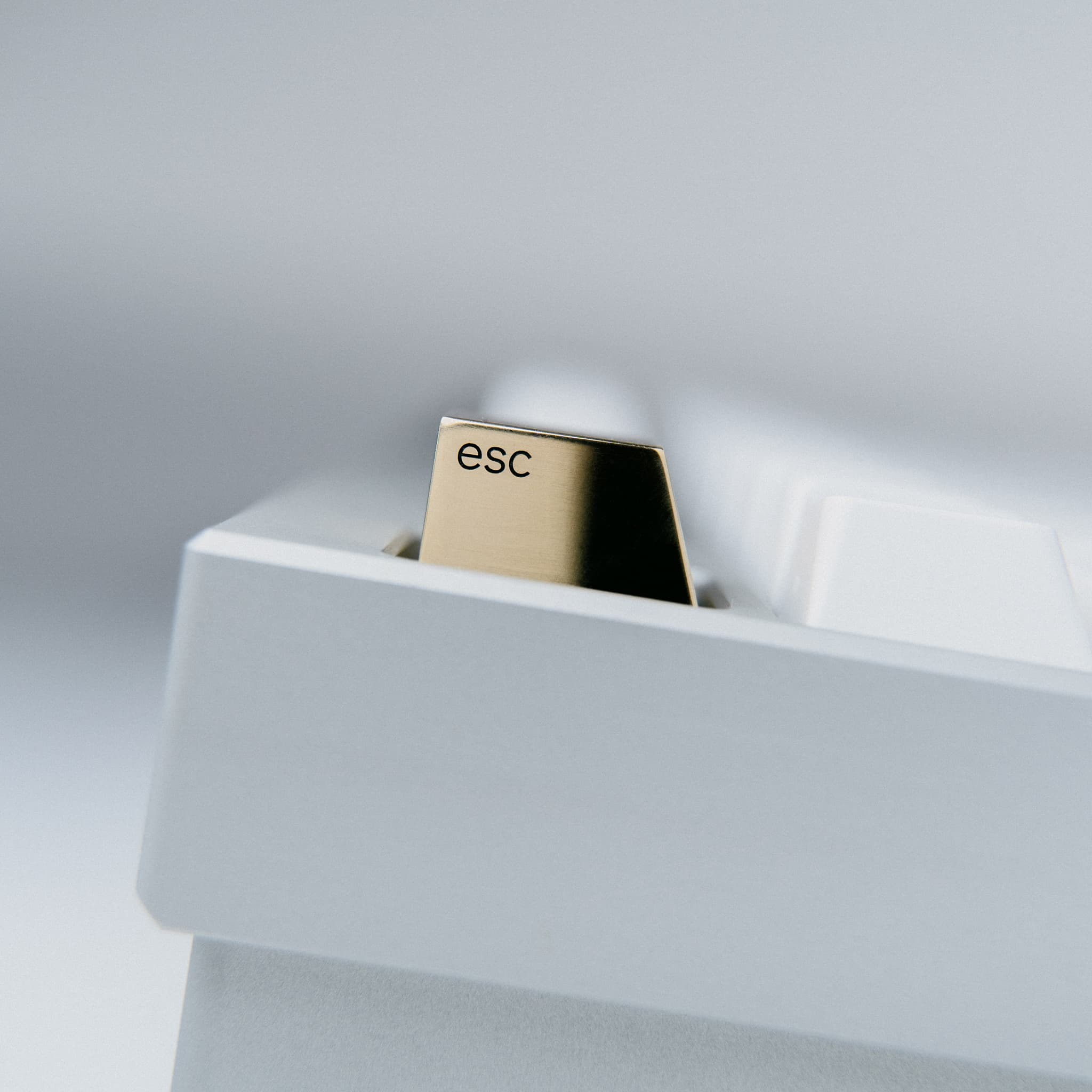 Series 00 | 09/17/2021: Shipping to all 4 vendors! image 7