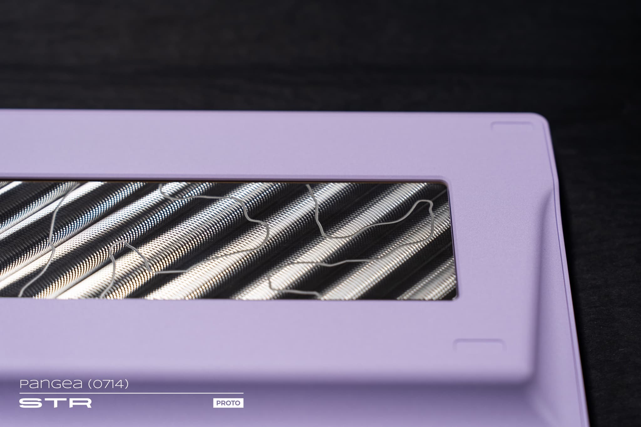 Pangea Full Size image 23