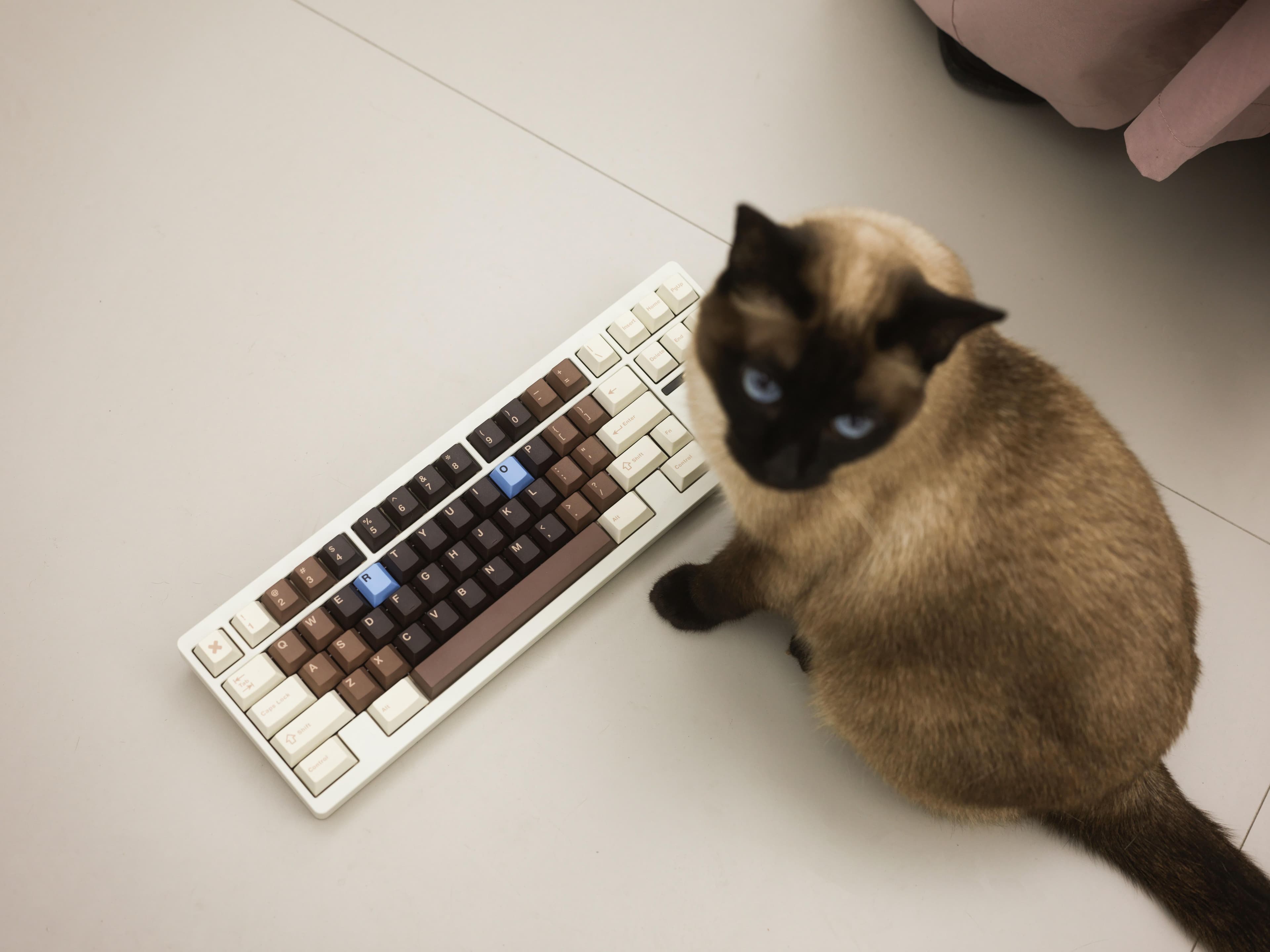 TUTKEYS Black Sugar Bobo Keycaps image 22