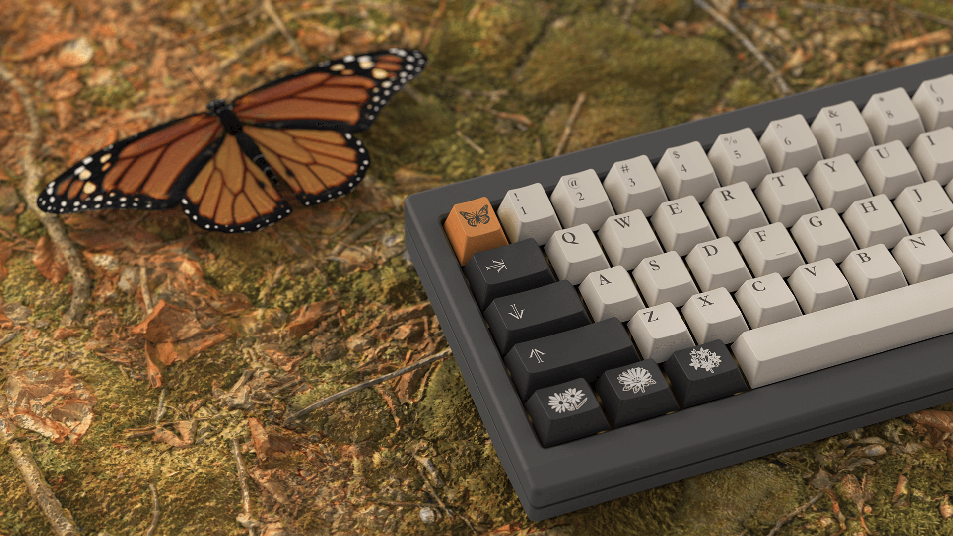 MW Pavilion | GB Cancelled, see 7/24/23 update for details image 24