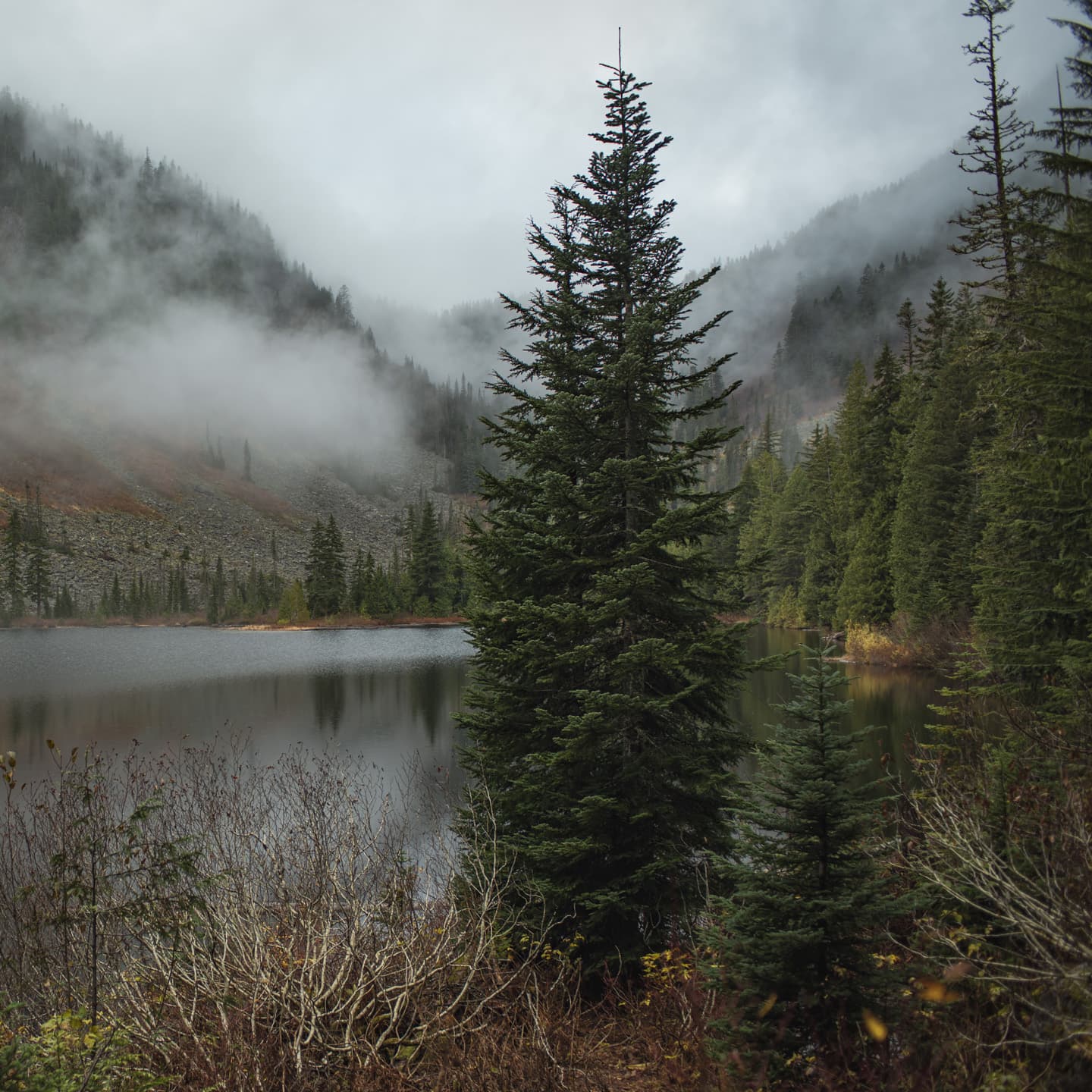 GMK November Fog - (Mostly shipped - Thank you!) image 4