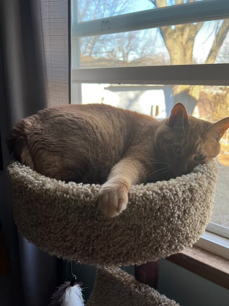 GMK Orange Boi | shipped to vendors + customers image 32