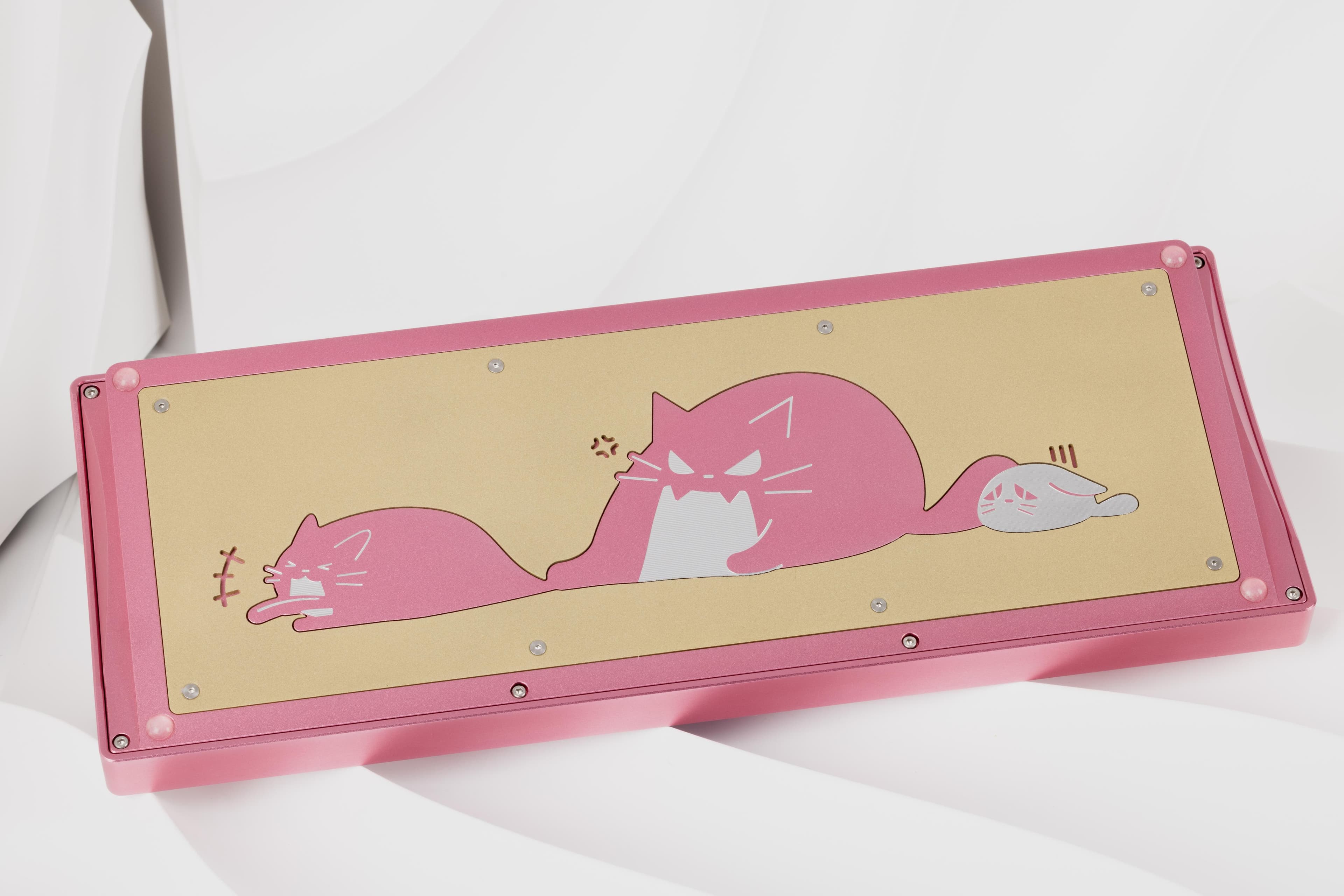 CatX( - F13 TKL with a kitty twist image 9