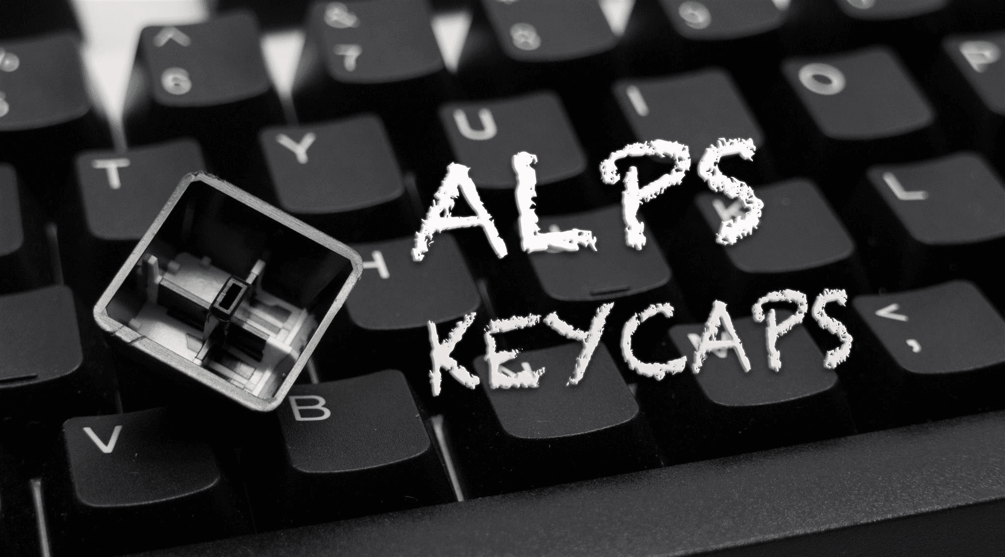 Tai-Hao White on Black and Vintage Alps image 3