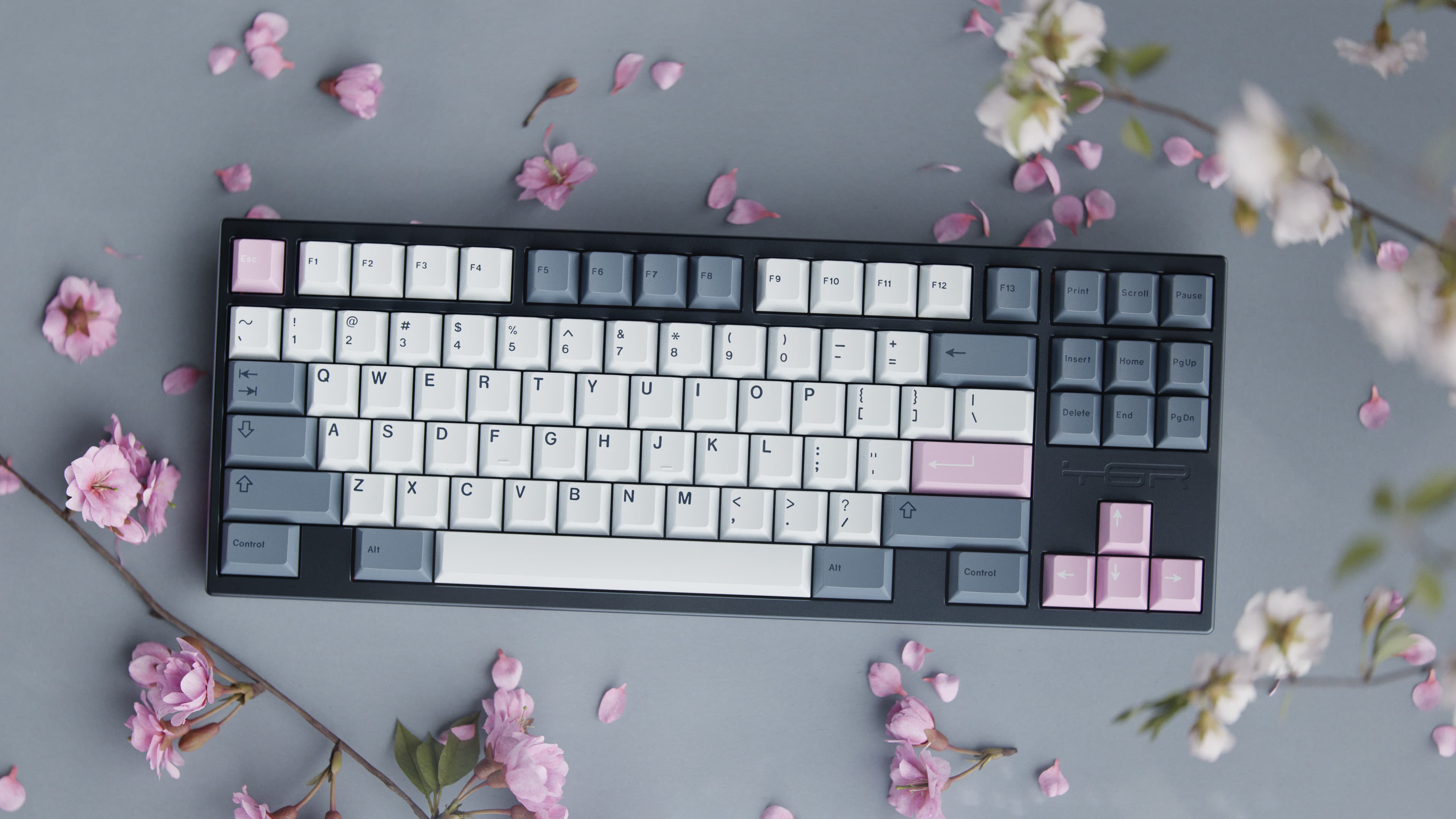 GMK Fuji | March 15th - April 15th image 16