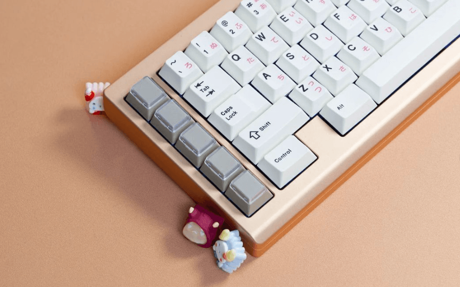 saevus cor65XT - Oct. 7 to Oct. 30 image 15