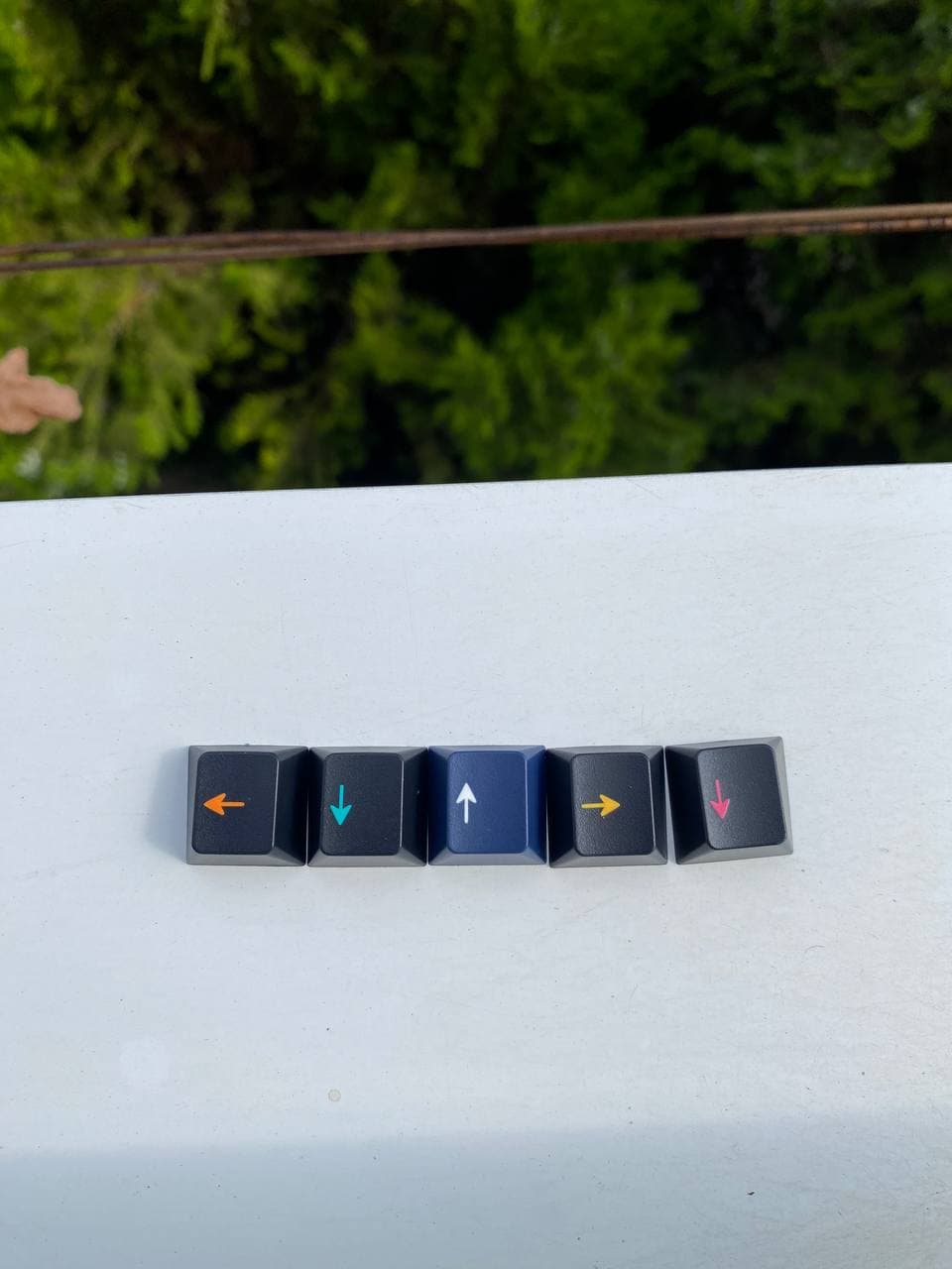 DCX Bim | NOW LIVE! image 5