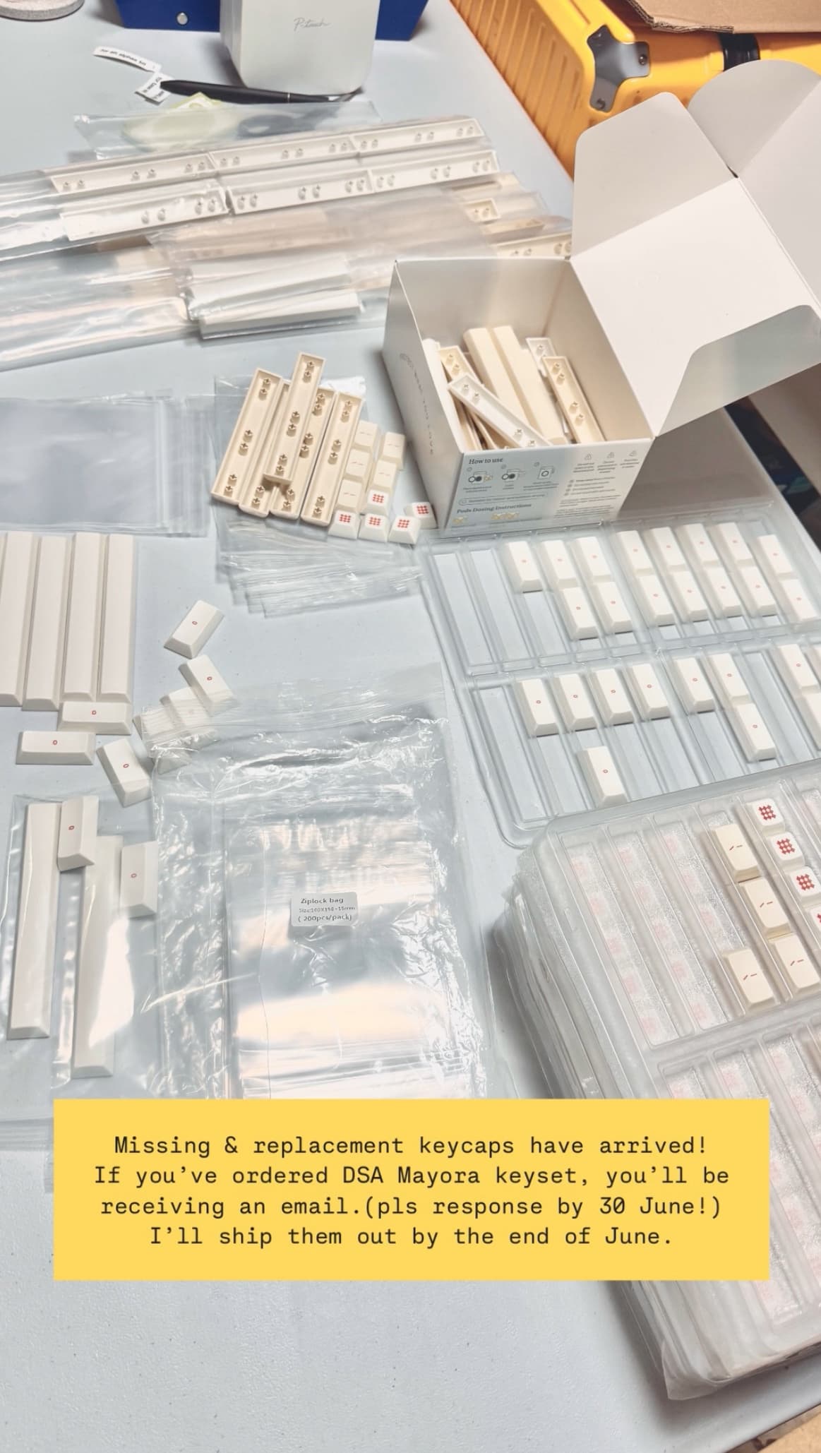 DSA Mayora マヨラー | INSTOCK | Deskmats, Plushies, Screw Tray, Bag image 61