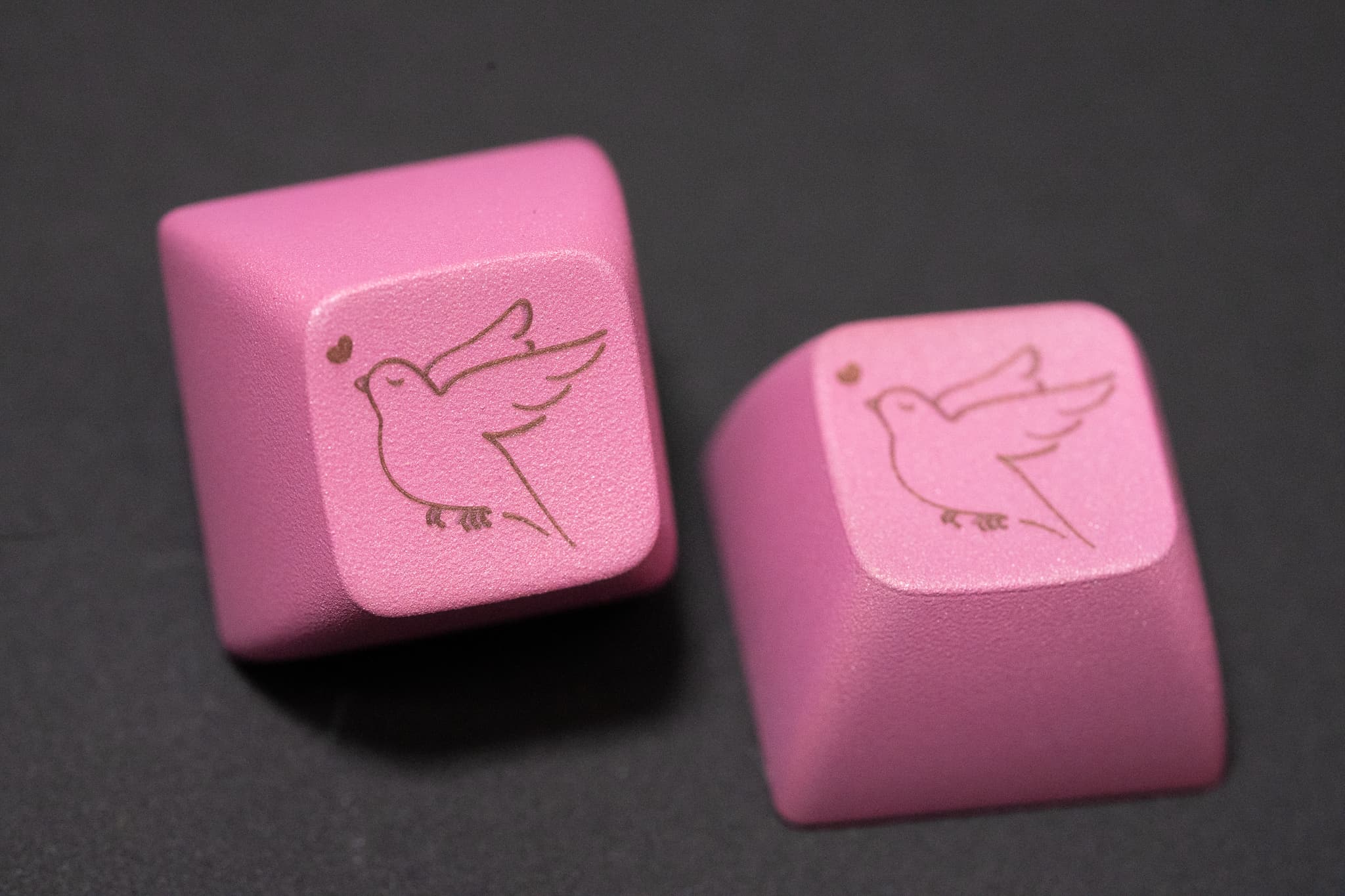 SA Fledgling - keycaps shipped to vendors image 13