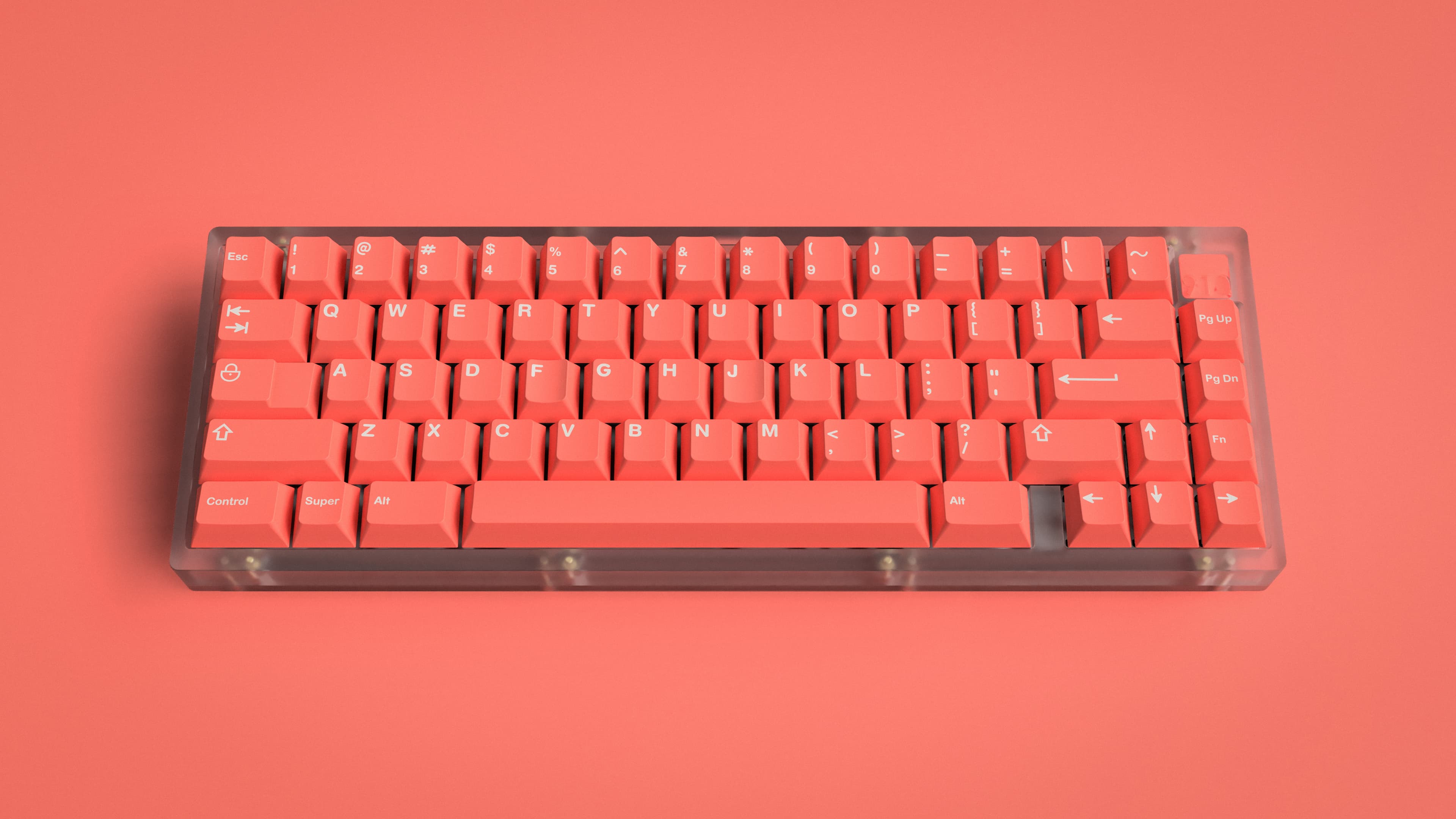 GMK Coral - $650 Donated to Coral Reef Alliance (Finished) image 29