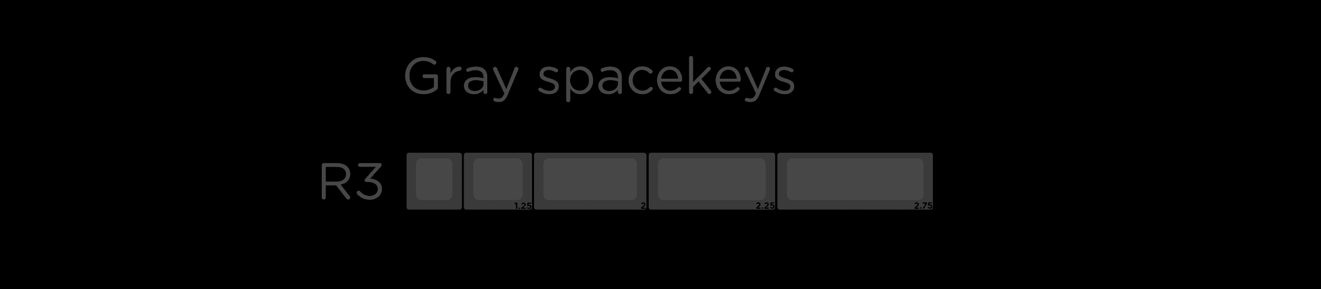 SP SA CARBON R3 (Closed) image 19