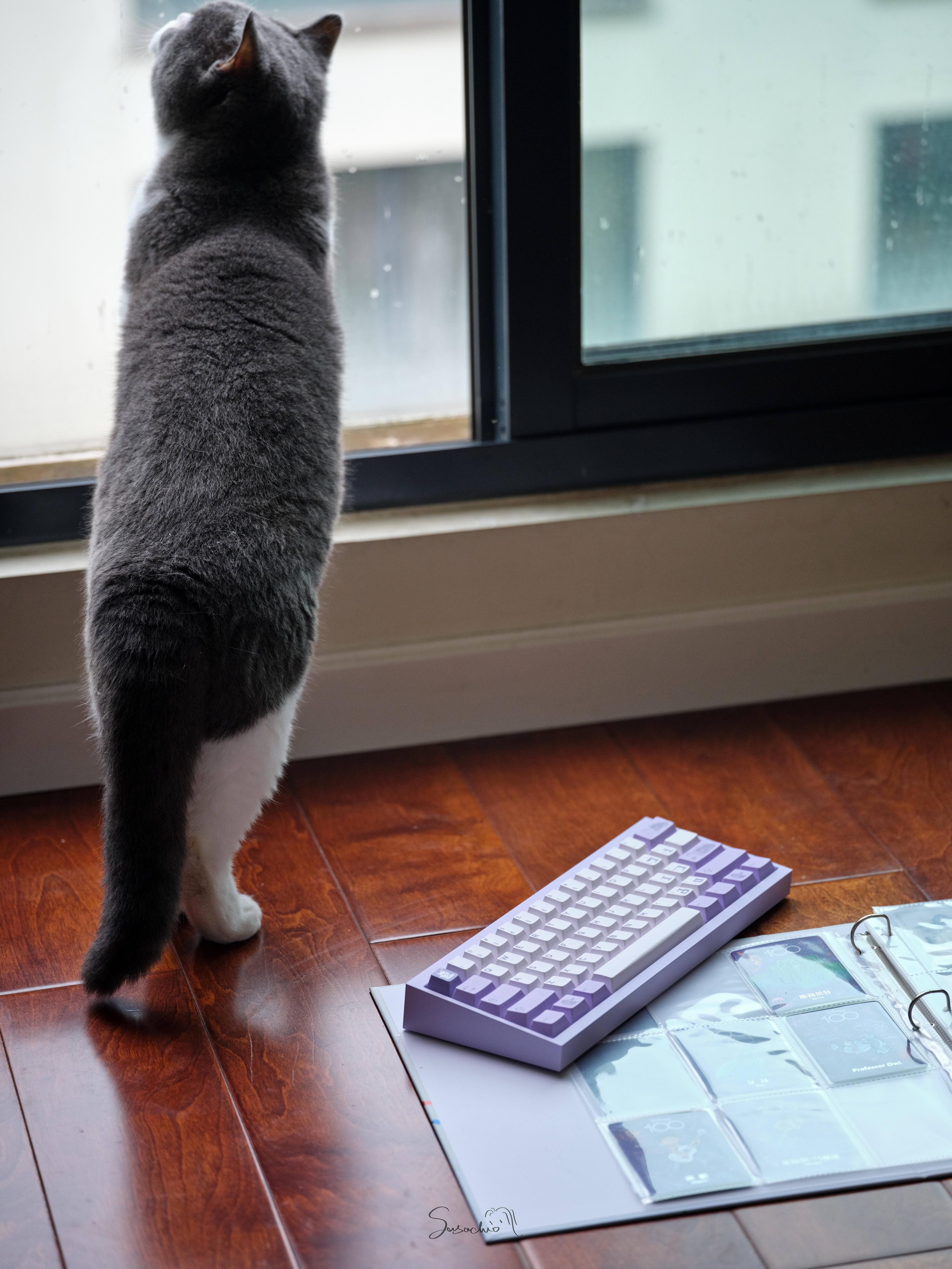 Zero-G Studio X DMK PBT theme keycap "Arrogant Cat" image 18