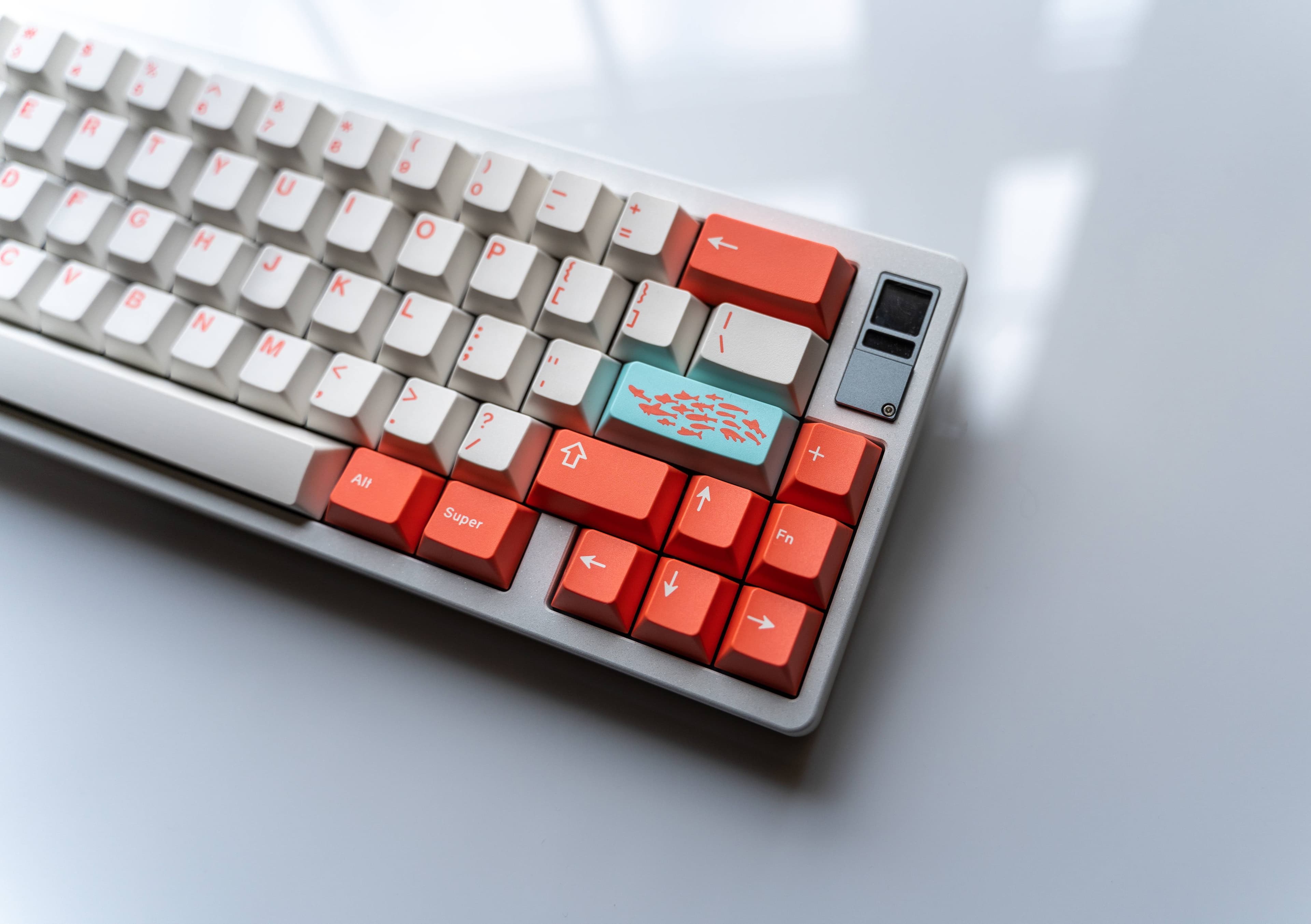 GMK Coral R2 - benefiting the Coral Reef Alliance (GB: 6/22 - 7/15) image 31