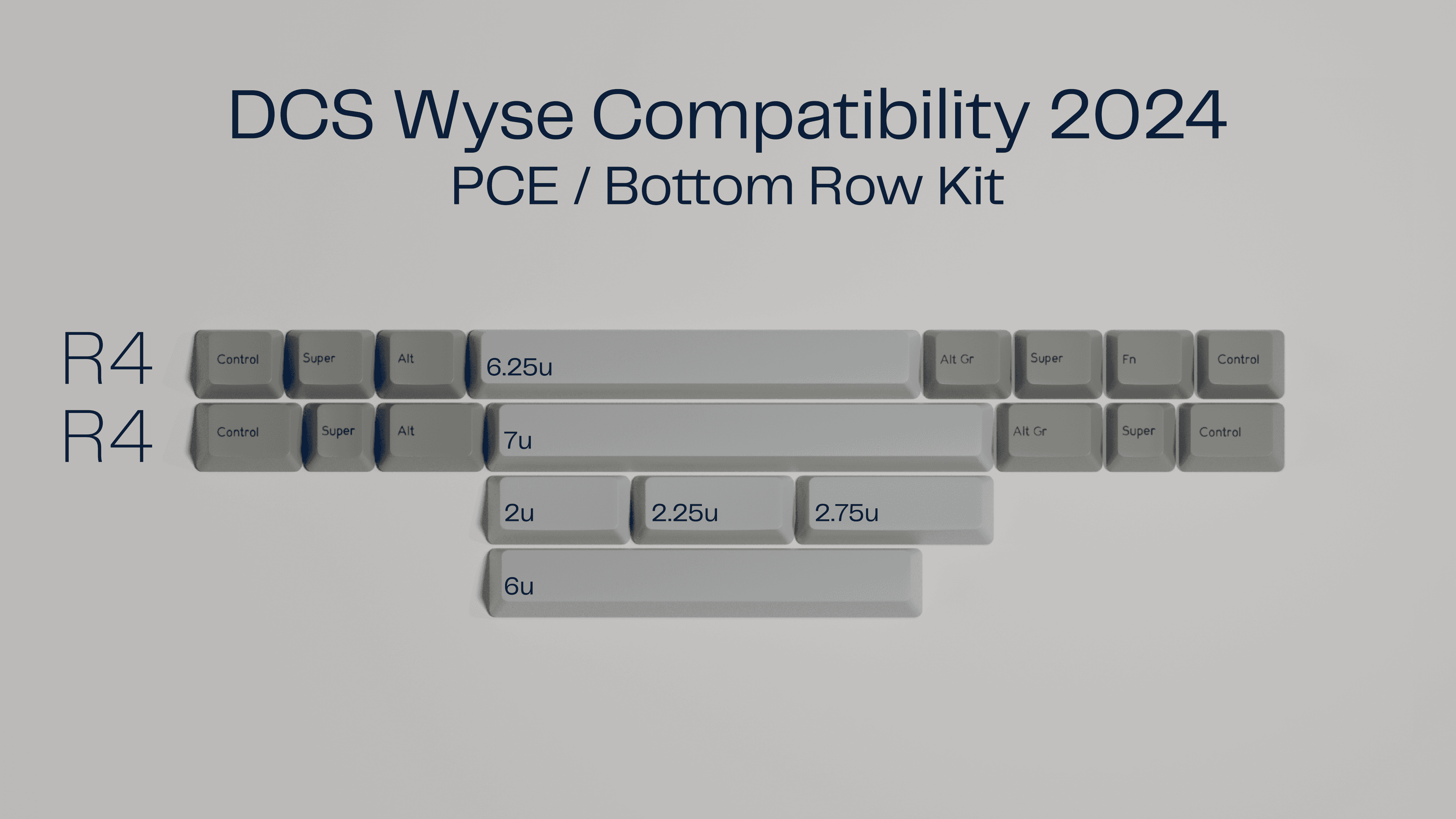 DCS Wyse Compatibility 2024 - ON HOLD image 2