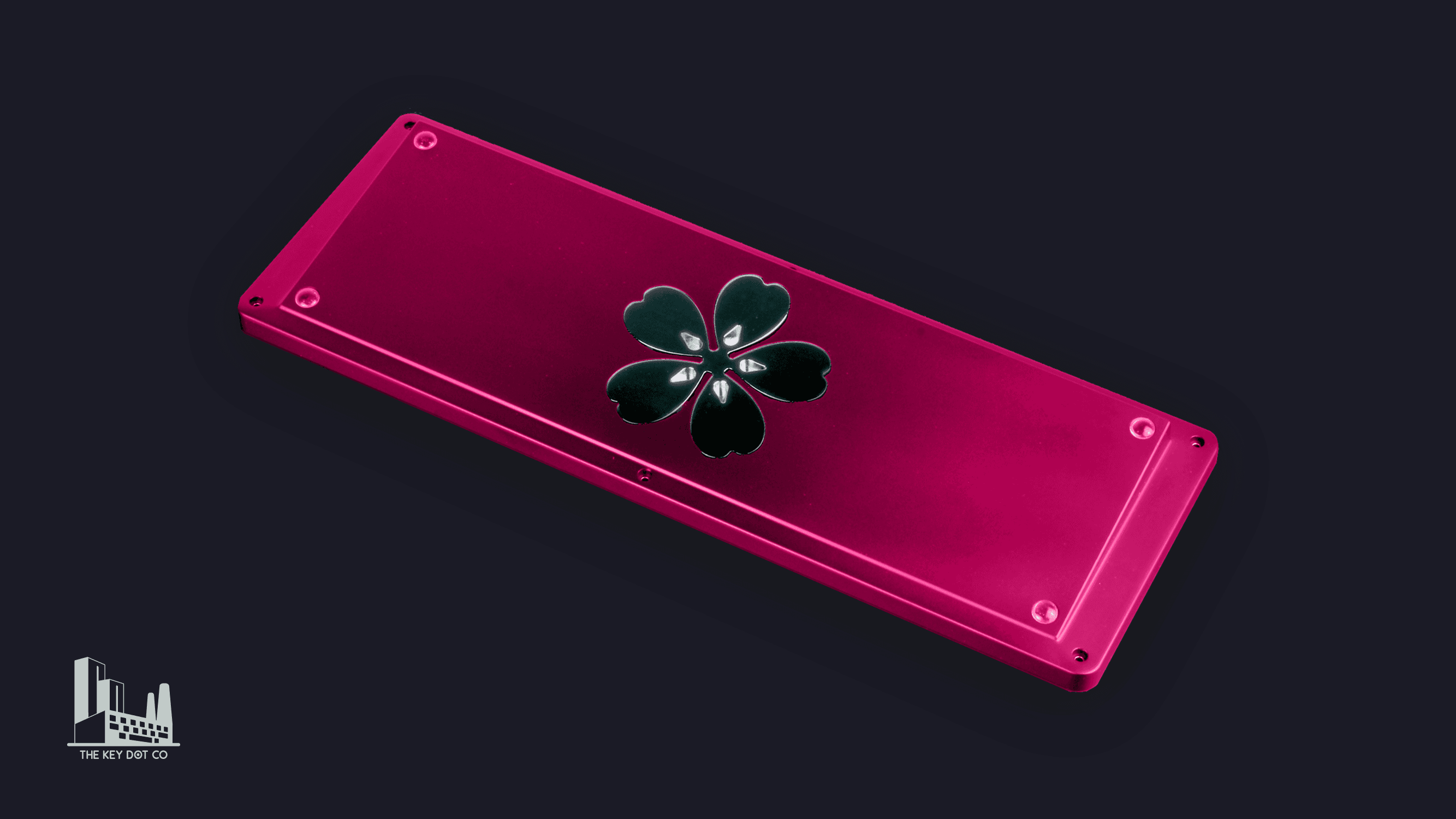 M0llY is Here image 13