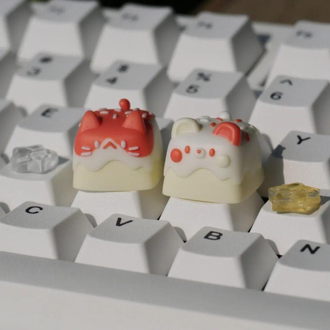 DSA Mayora マヨラー | GB LIVE NOW image 77