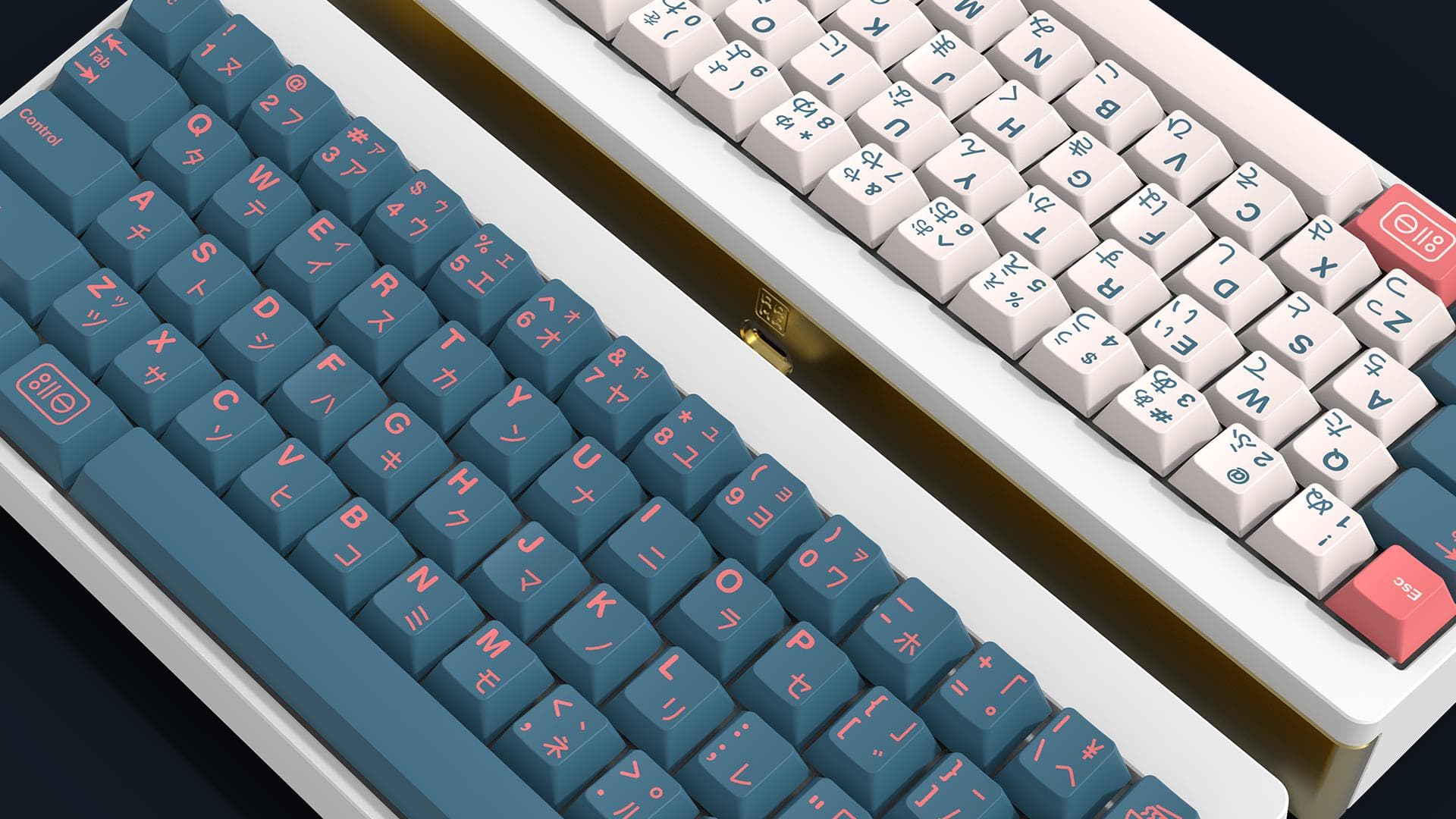 GMK Bentō round 2 image 2