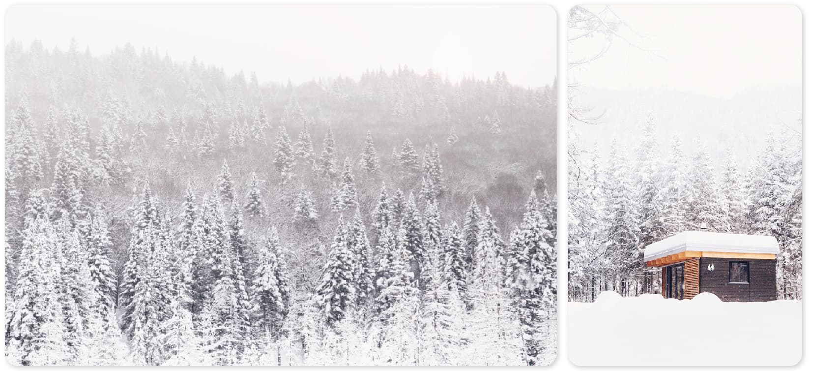 ePBT Winter Breath (GB CLOSED) image 3