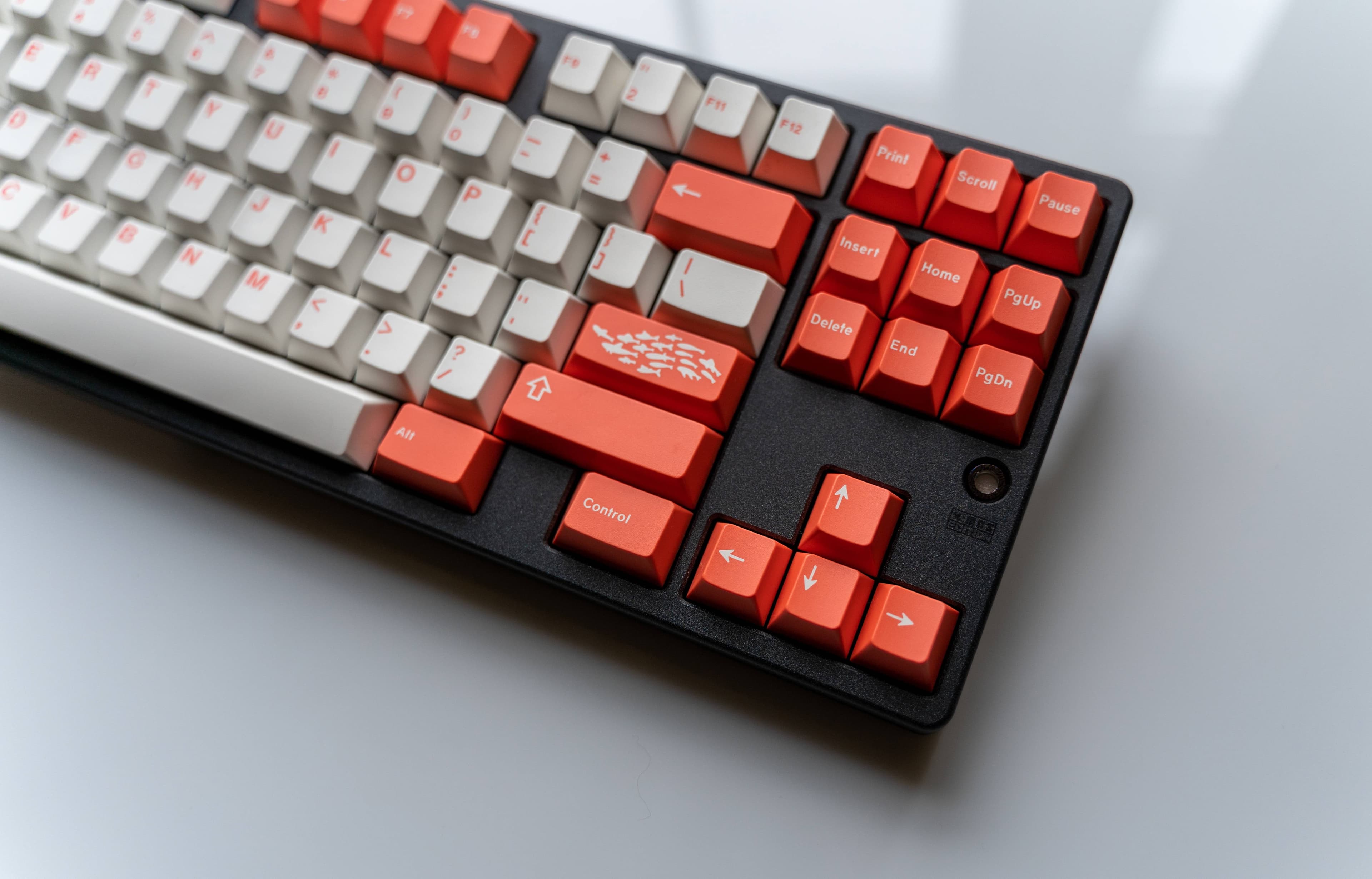 GMK Coral R2 - benefiting the Coral Reef Alliance (GB: 6/22 - 7/15) image 25