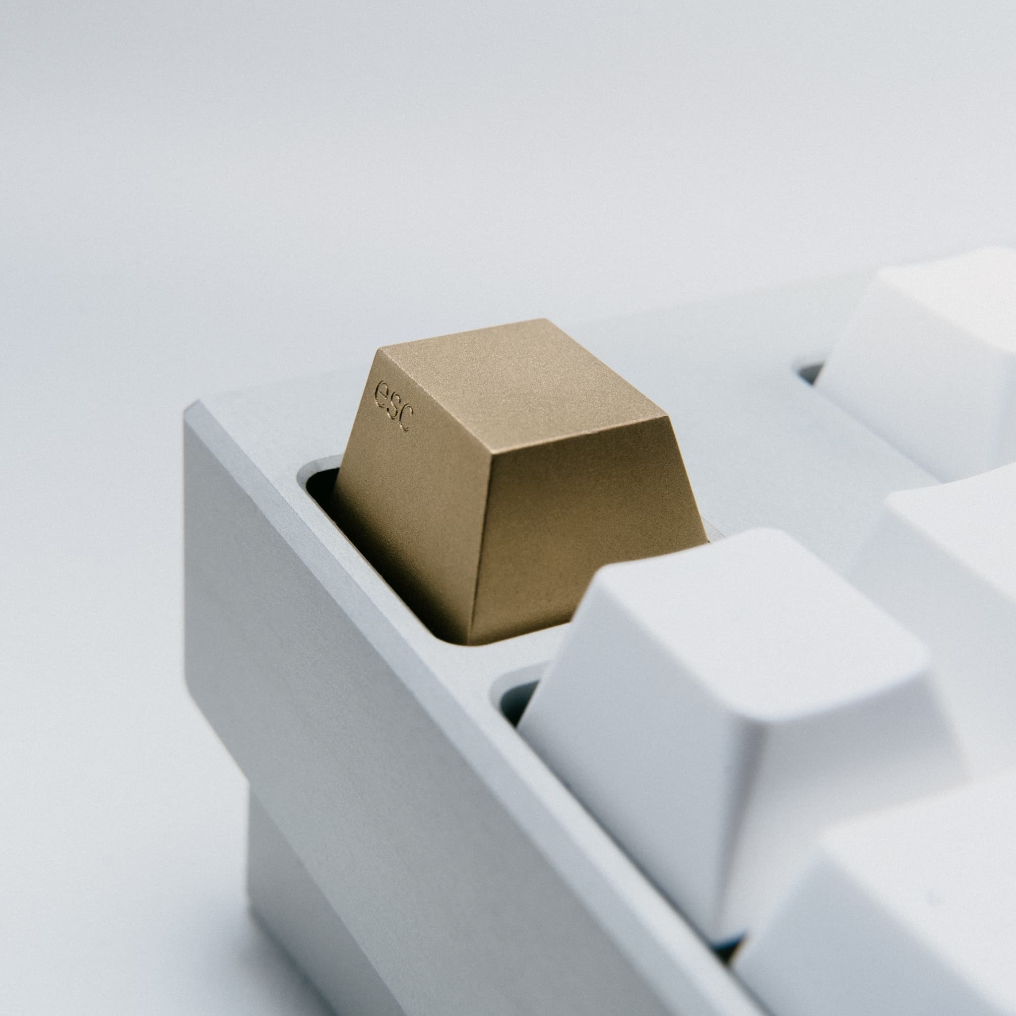 Series 00 | 09/17/2021: Shipping to all 4 vendors! image 10