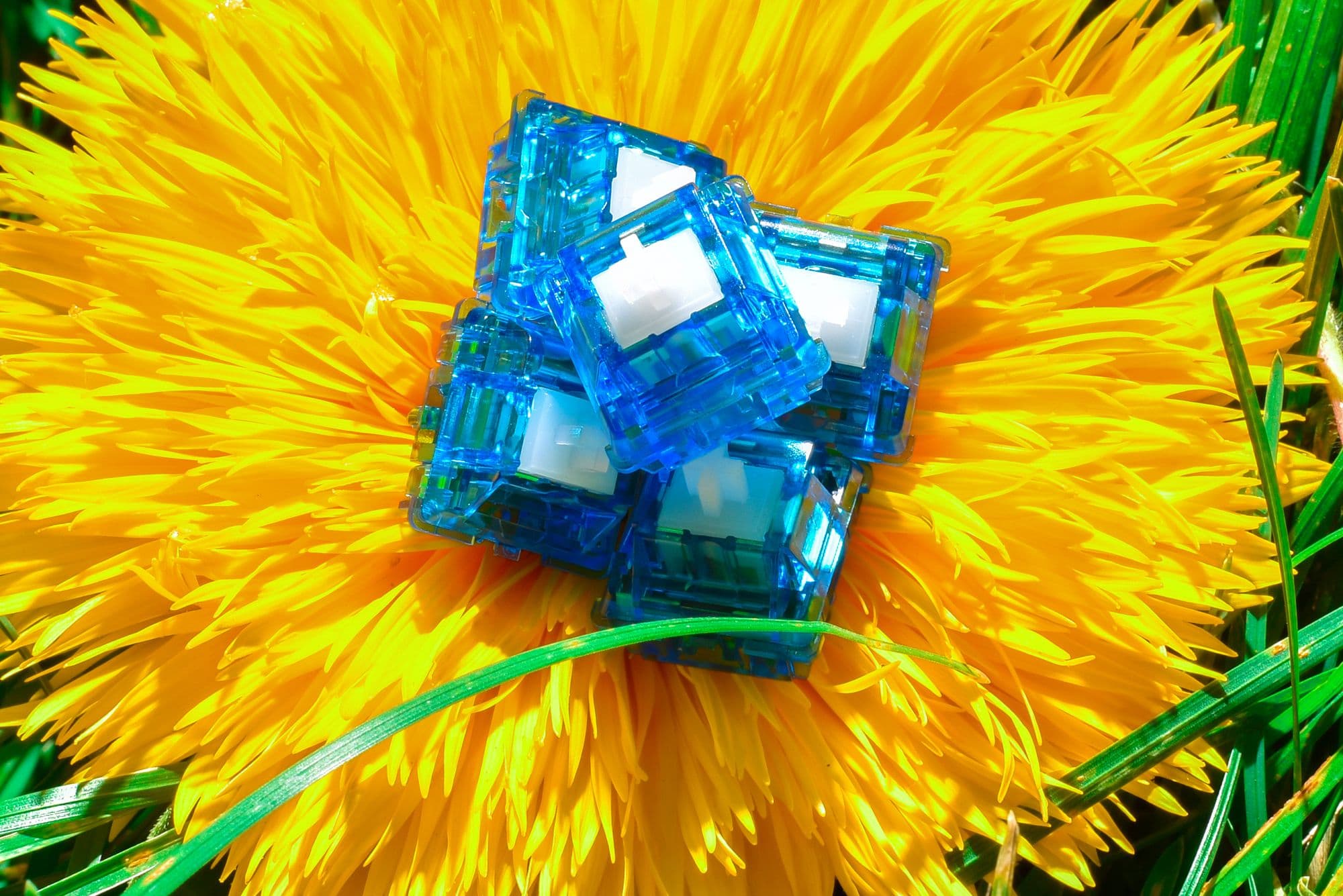 Original Aspiration (OA) Switches - Smooth, unlubed linears!