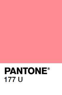 XDA Oblique (complete) image 45