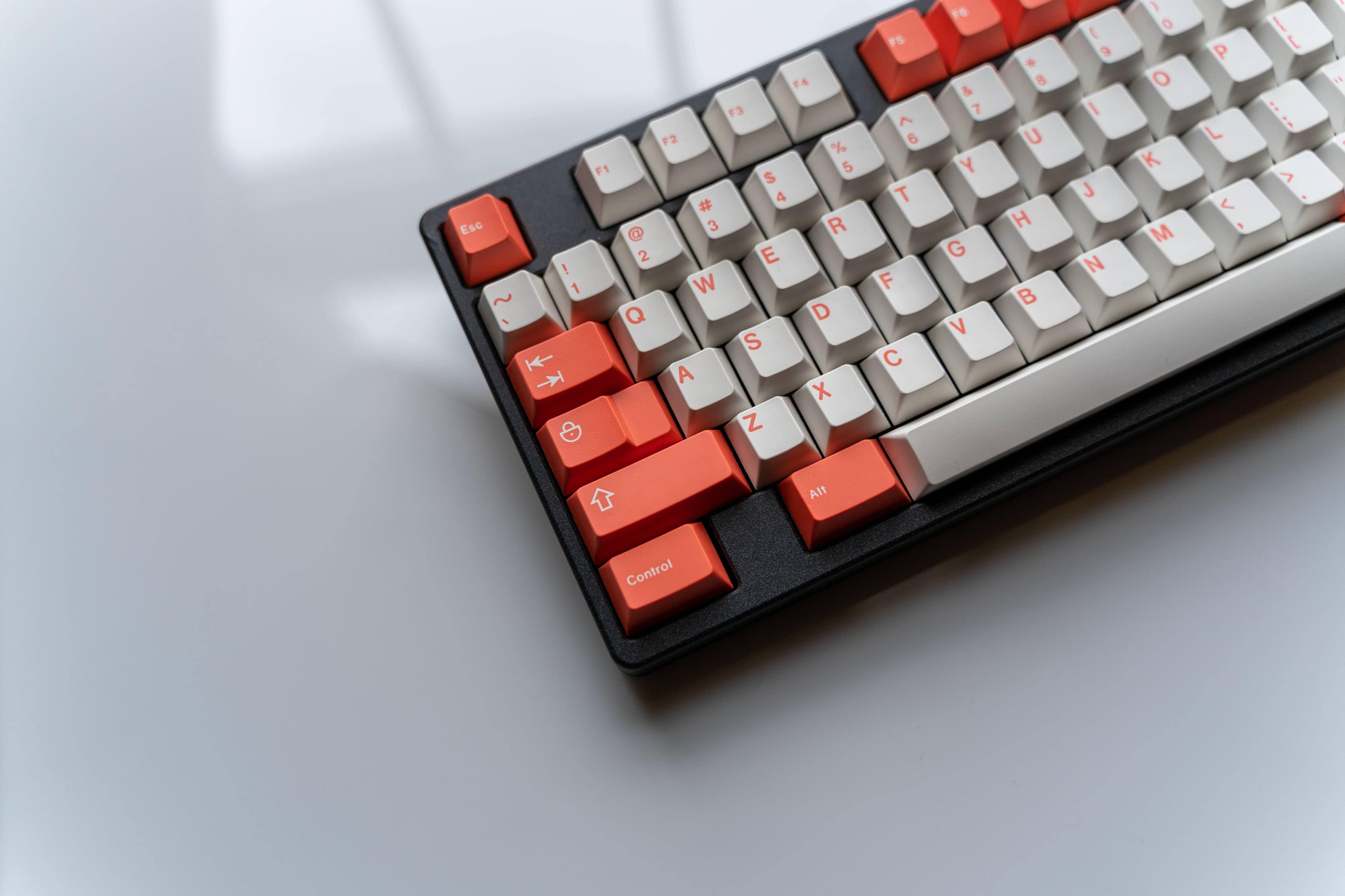 GMK Coral R2 - benefiting the Coral Reef Alliance (GB: 6/22 - 7/15) image 20