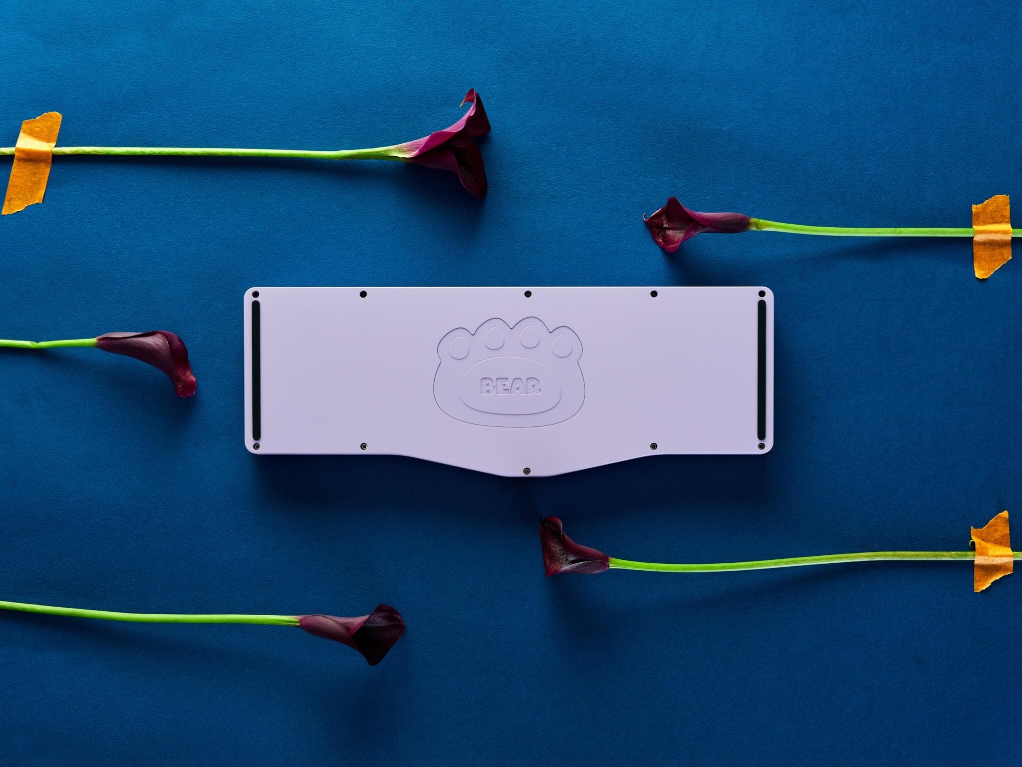 Bear65 V2 - Last day for Groupbuy (18th July) image 2