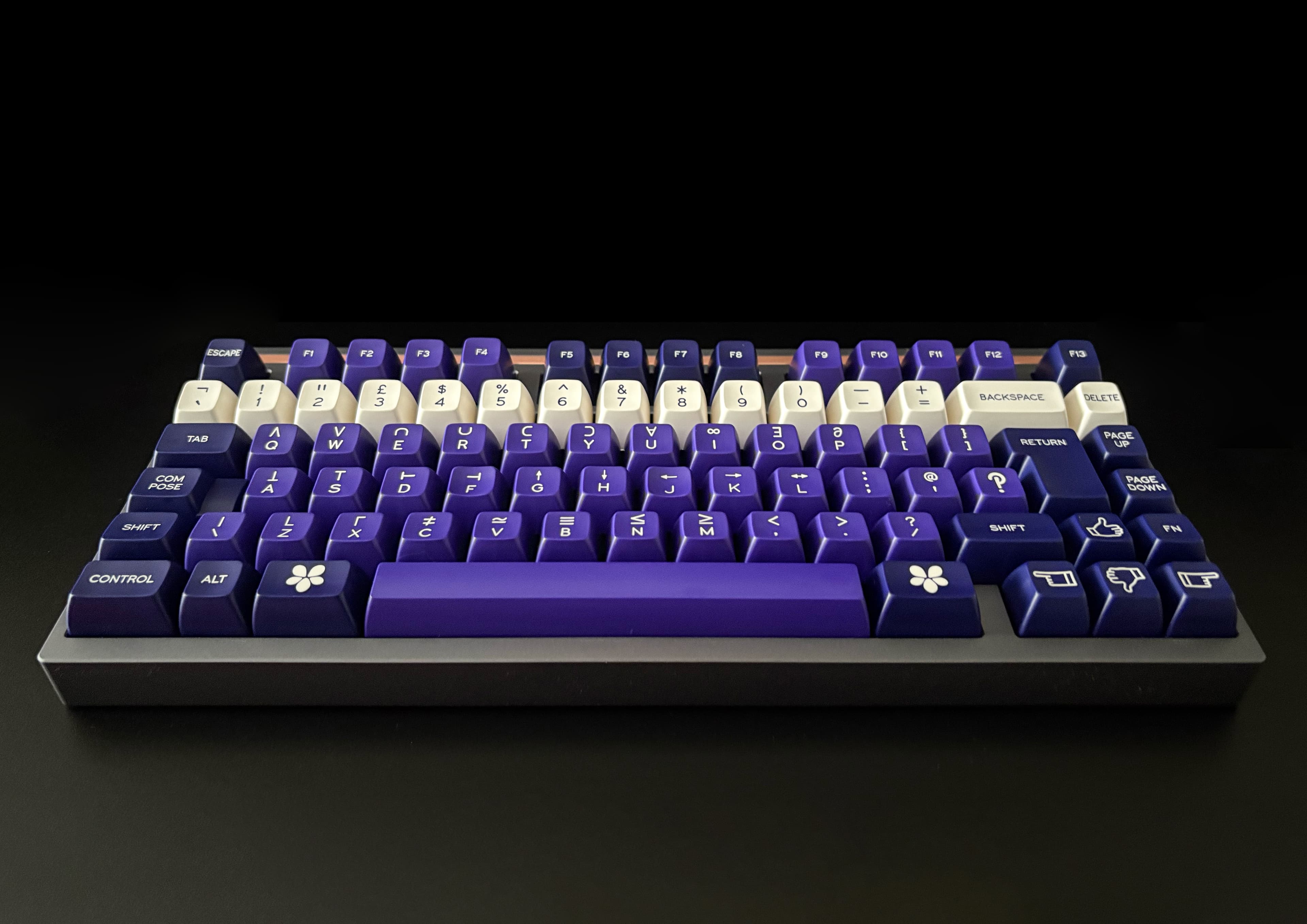 SA A History of Violets | Extras now at SPKeyboards! image 33