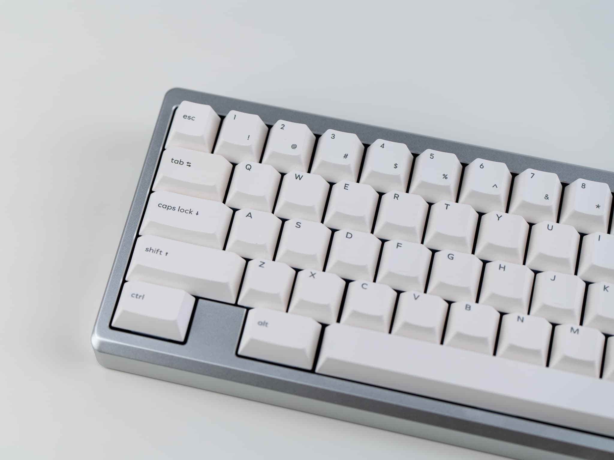 Vida - A Lively 60% from CannonKeys image 15