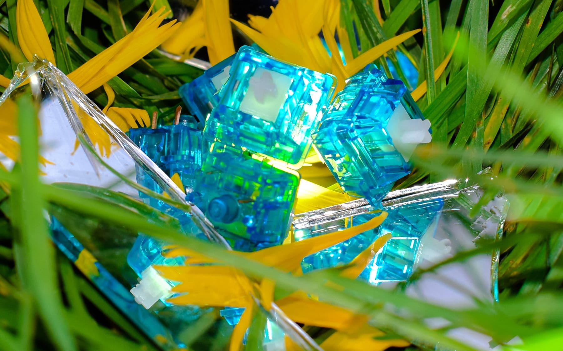 Original Aspiration (OA) Switches - Smooth, unlubed linears! image 4