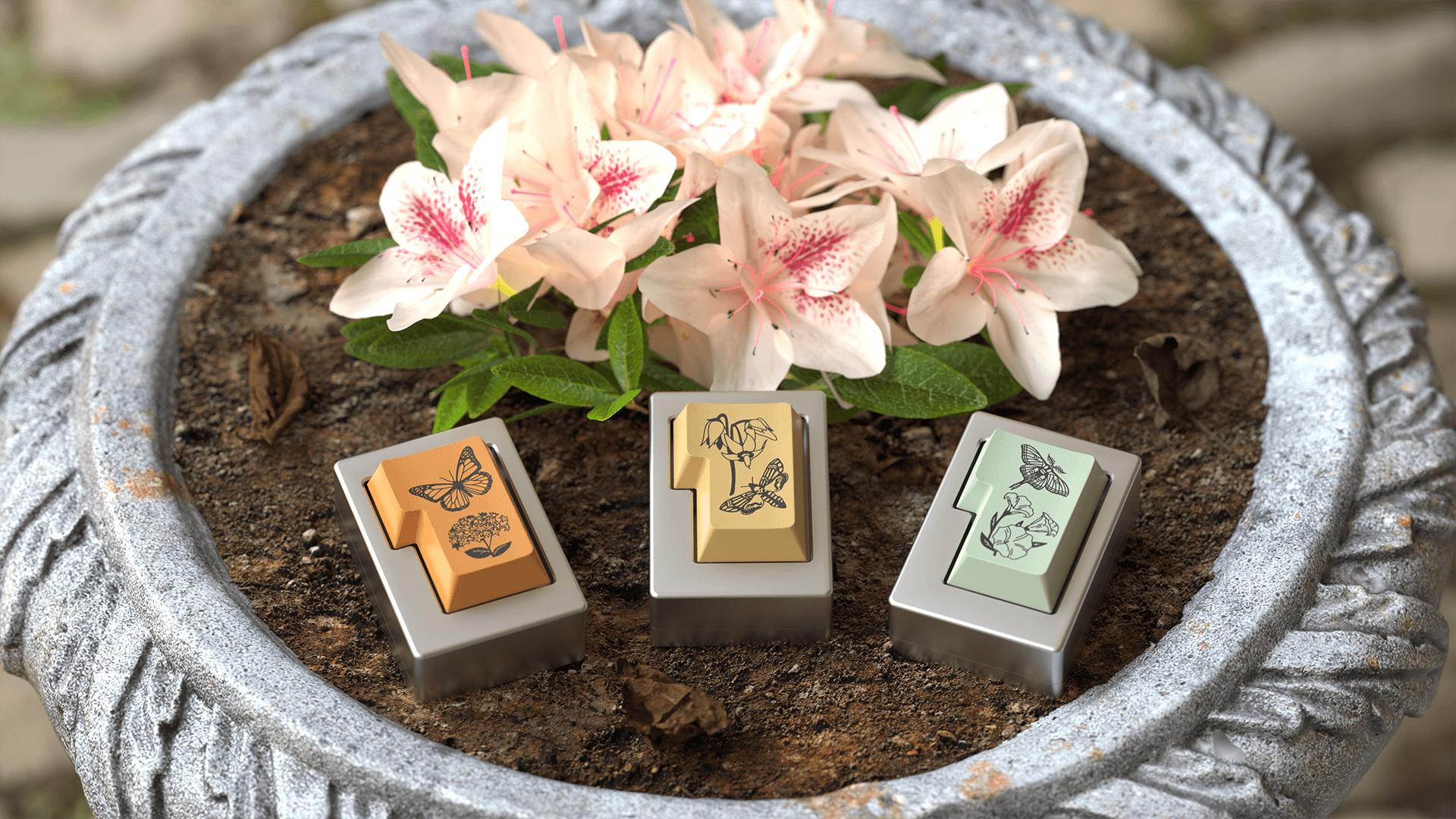 MW Pavilion | GB Cancelled, see 7/24/23 update for details image 2