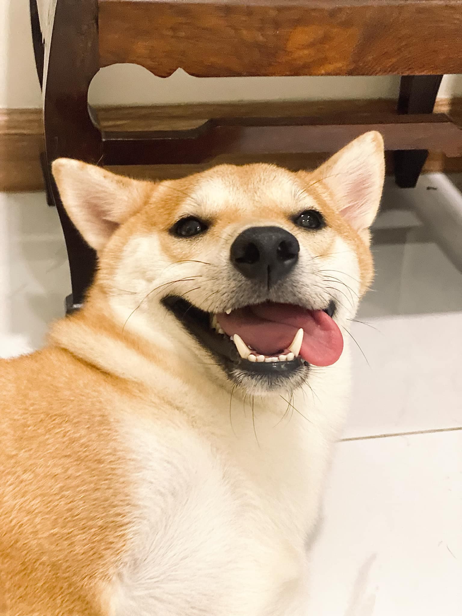 TORO60 - CWKL/HHKB 60% with Exploded Spacebar (GB IS LIVE) image 2