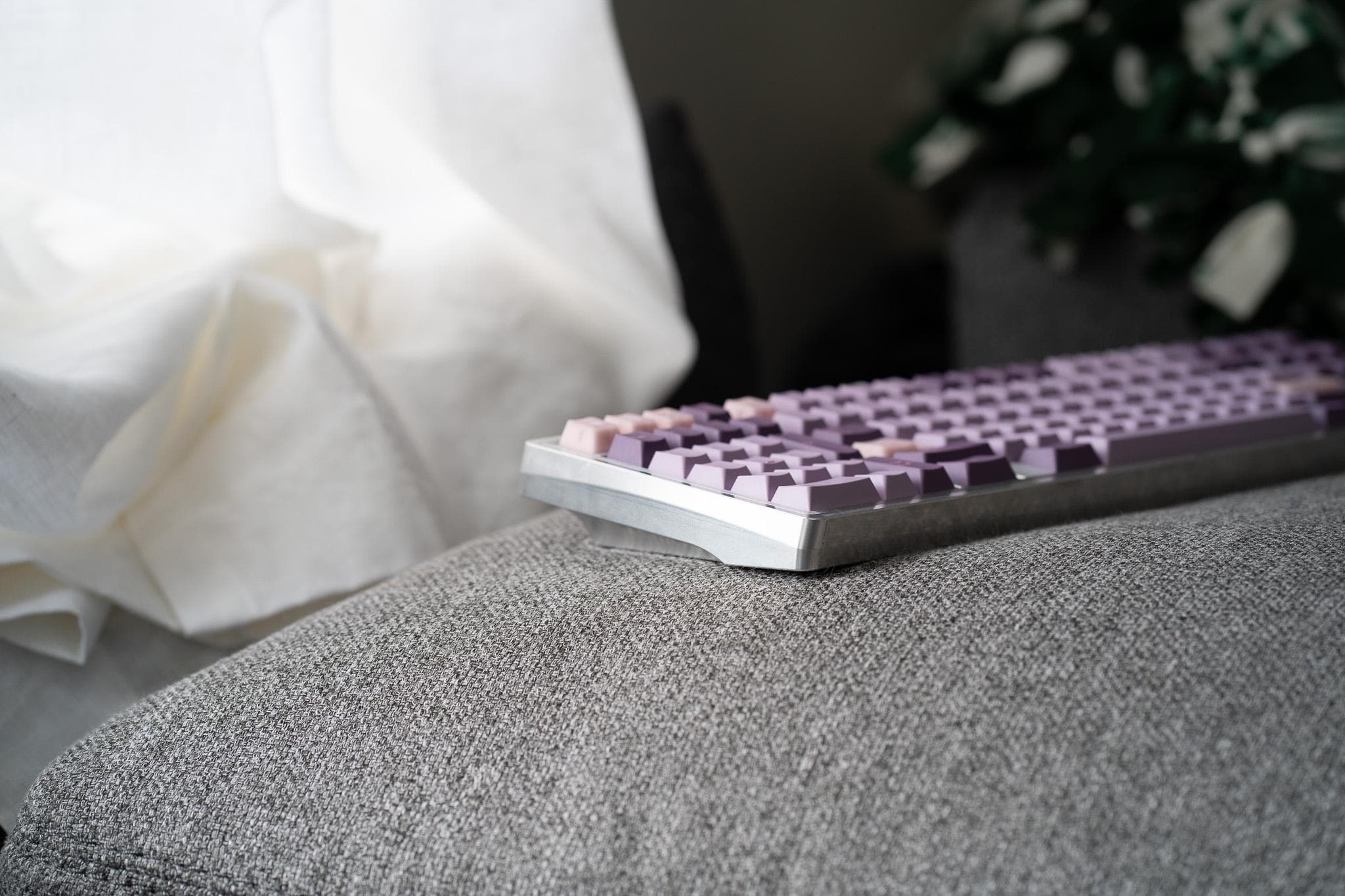 Pangea Full Size image 12