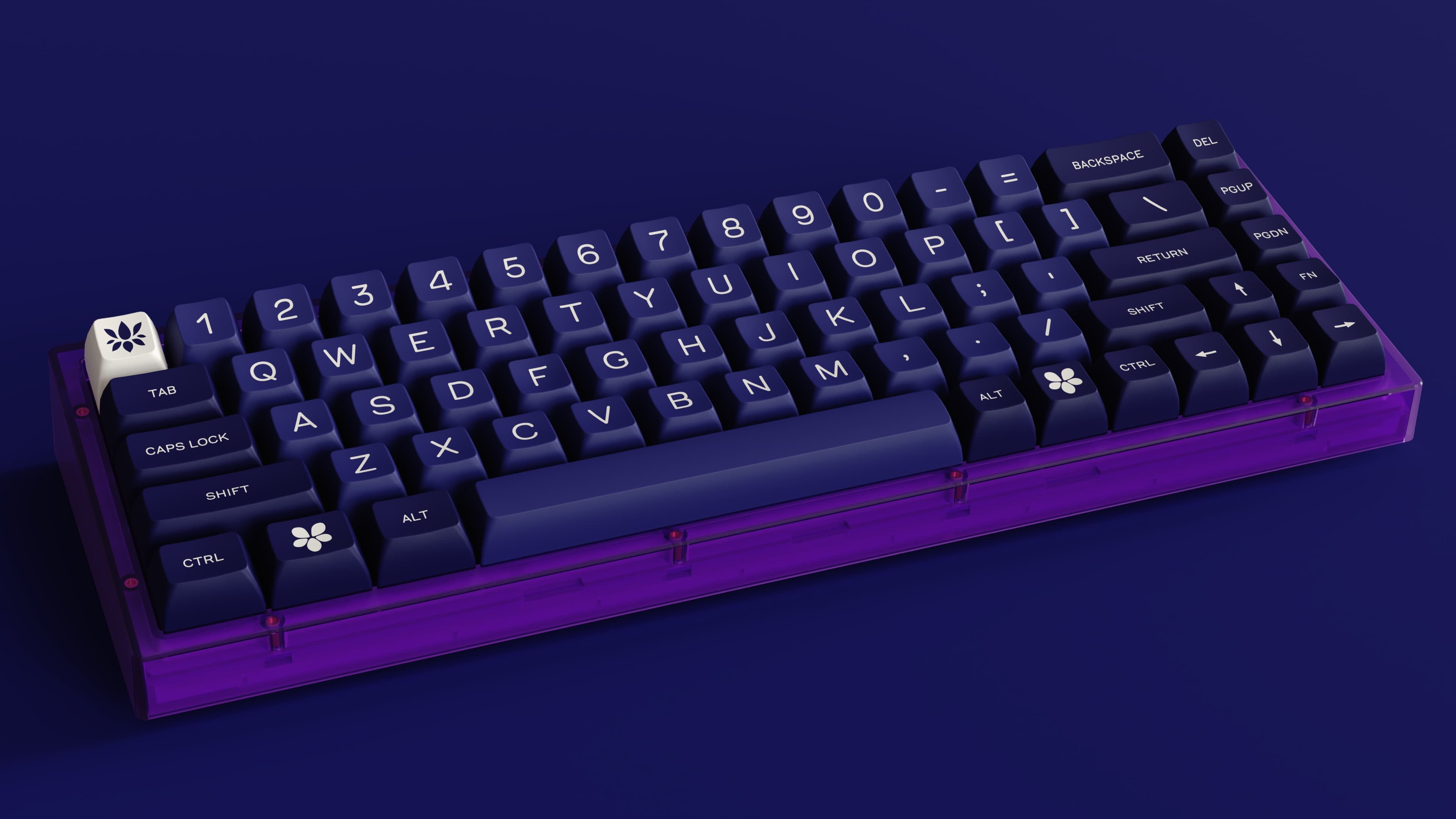 SA A History of Violets - GB thread is live! image 21