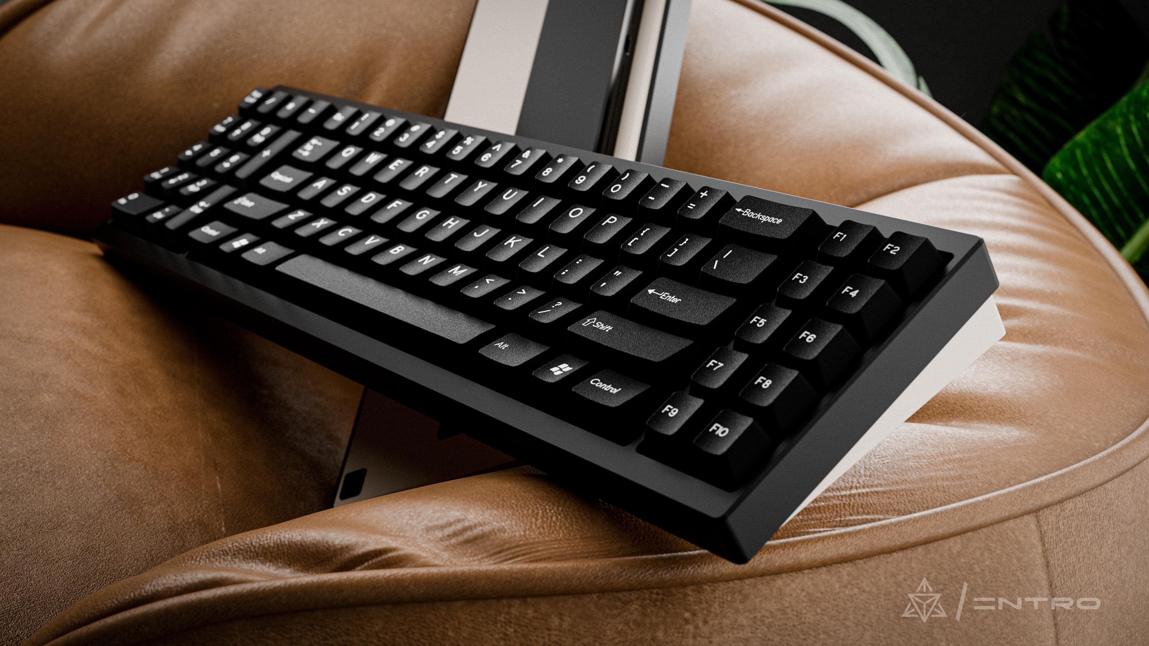 DCS INTRO WOB AND BEIGE image 8