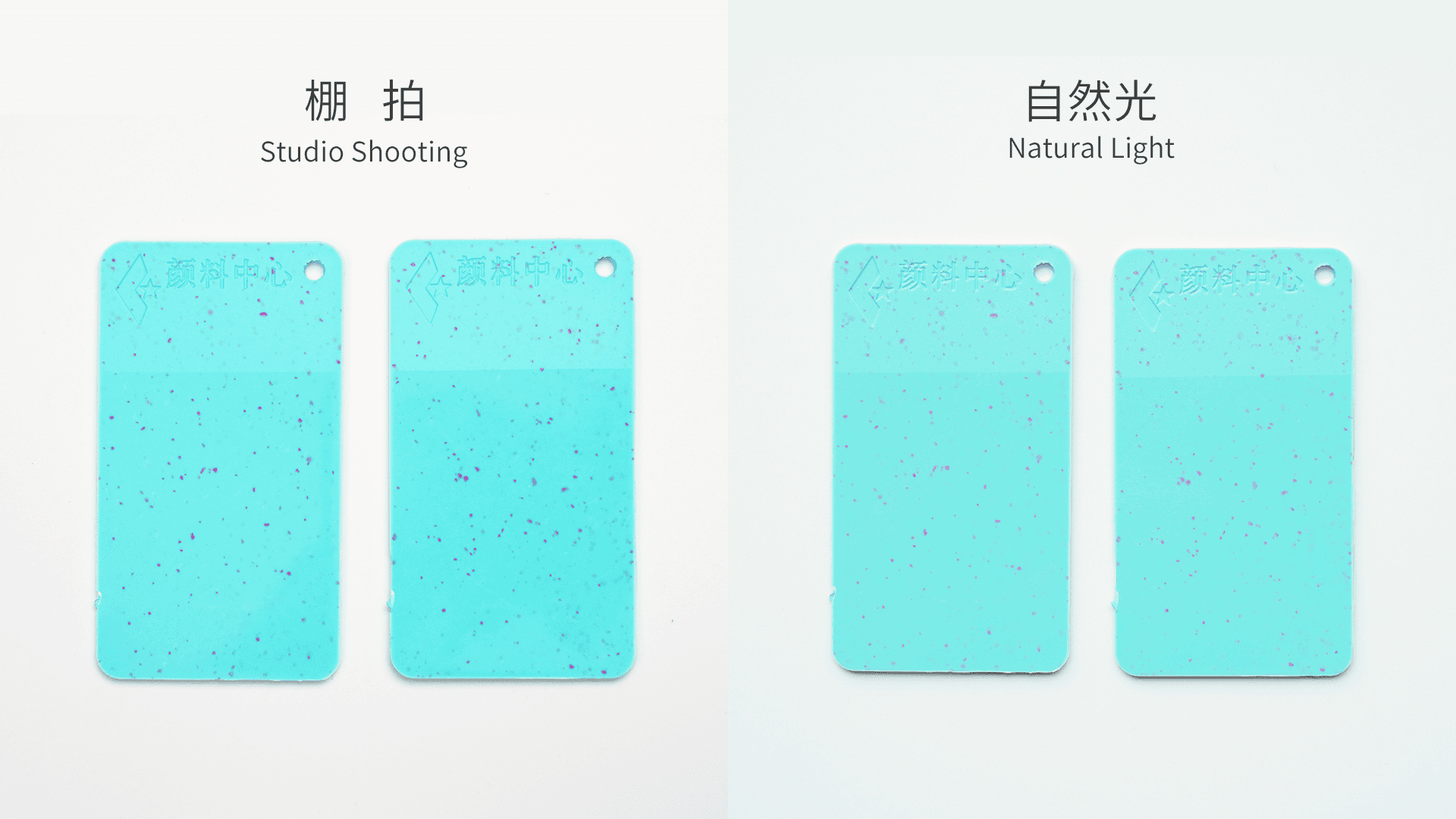 WS Purquoise | September 5/6th- October 6th | June collab live image 12