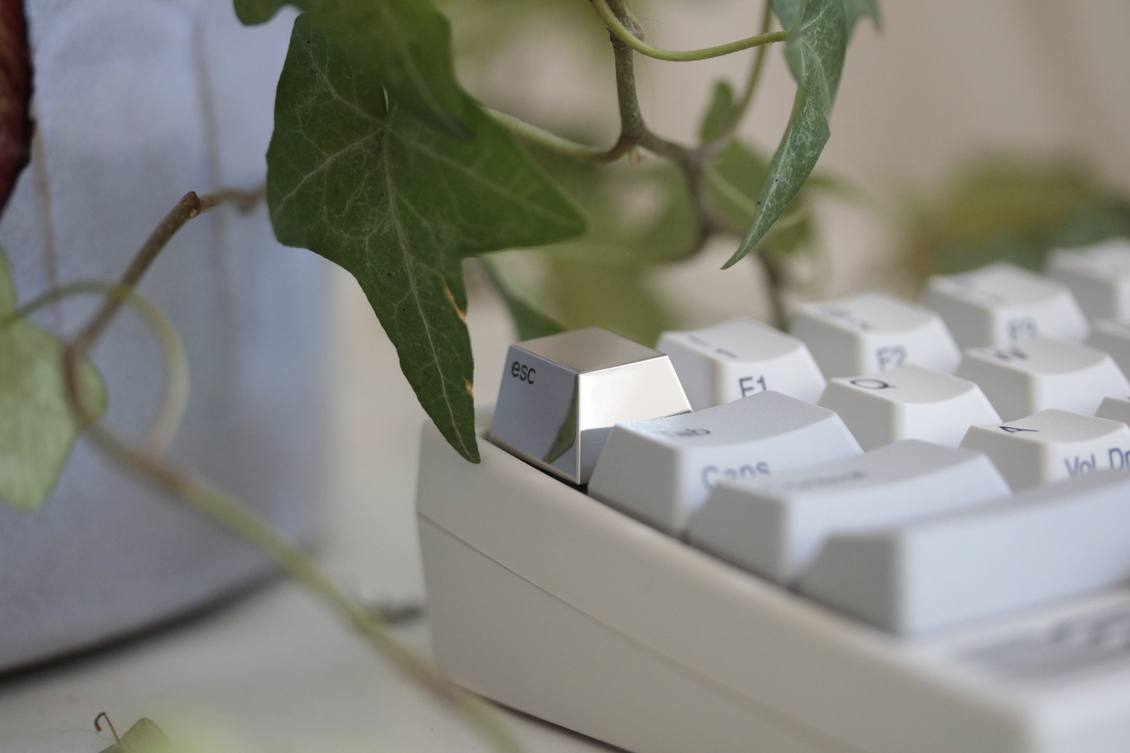 Series 00 | 09/17/2021: Shipping to all 4 vendors! image 26