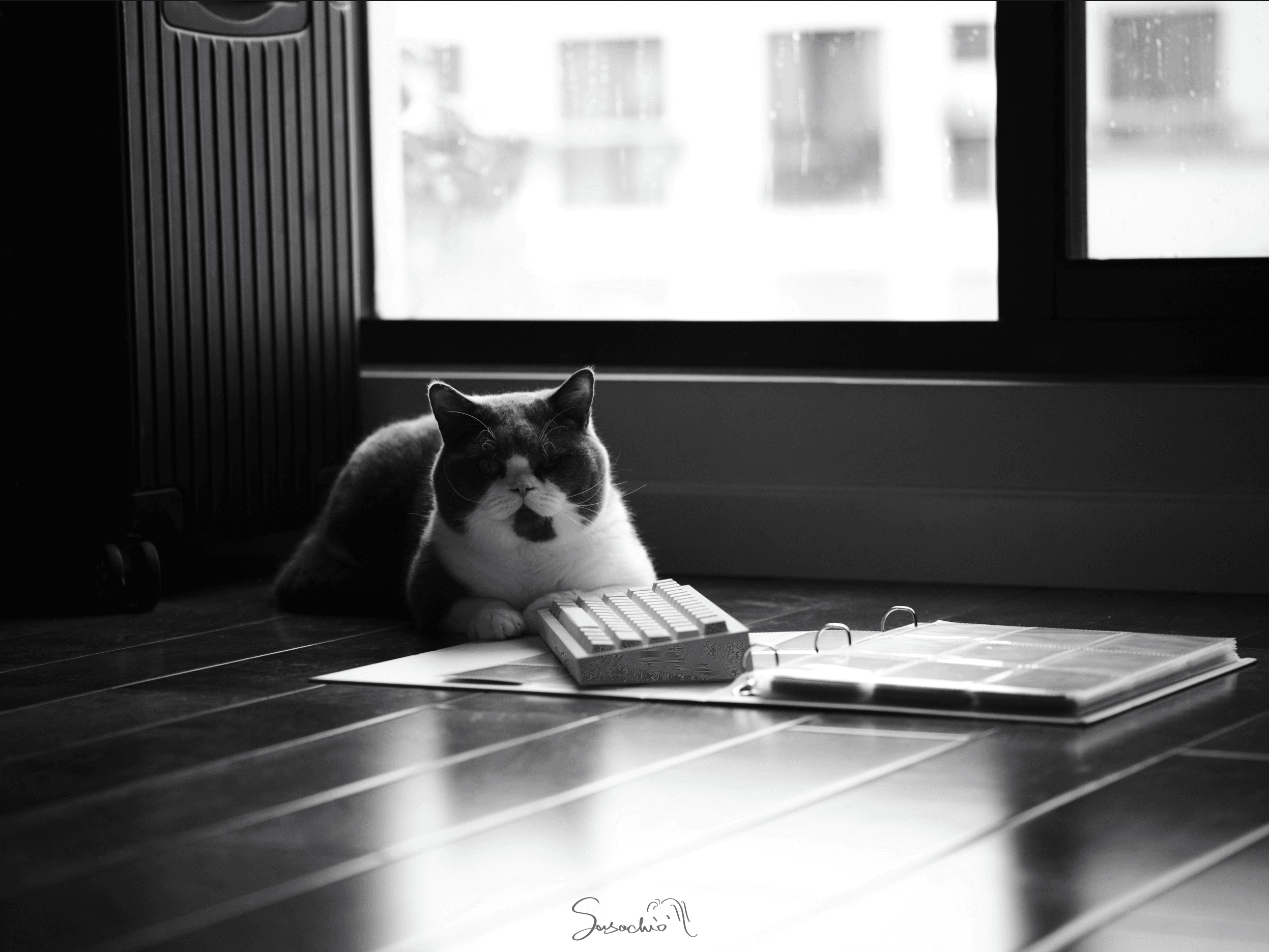 Zero-G Studio X DMK PBT theme keycap "Arrogant Cat"