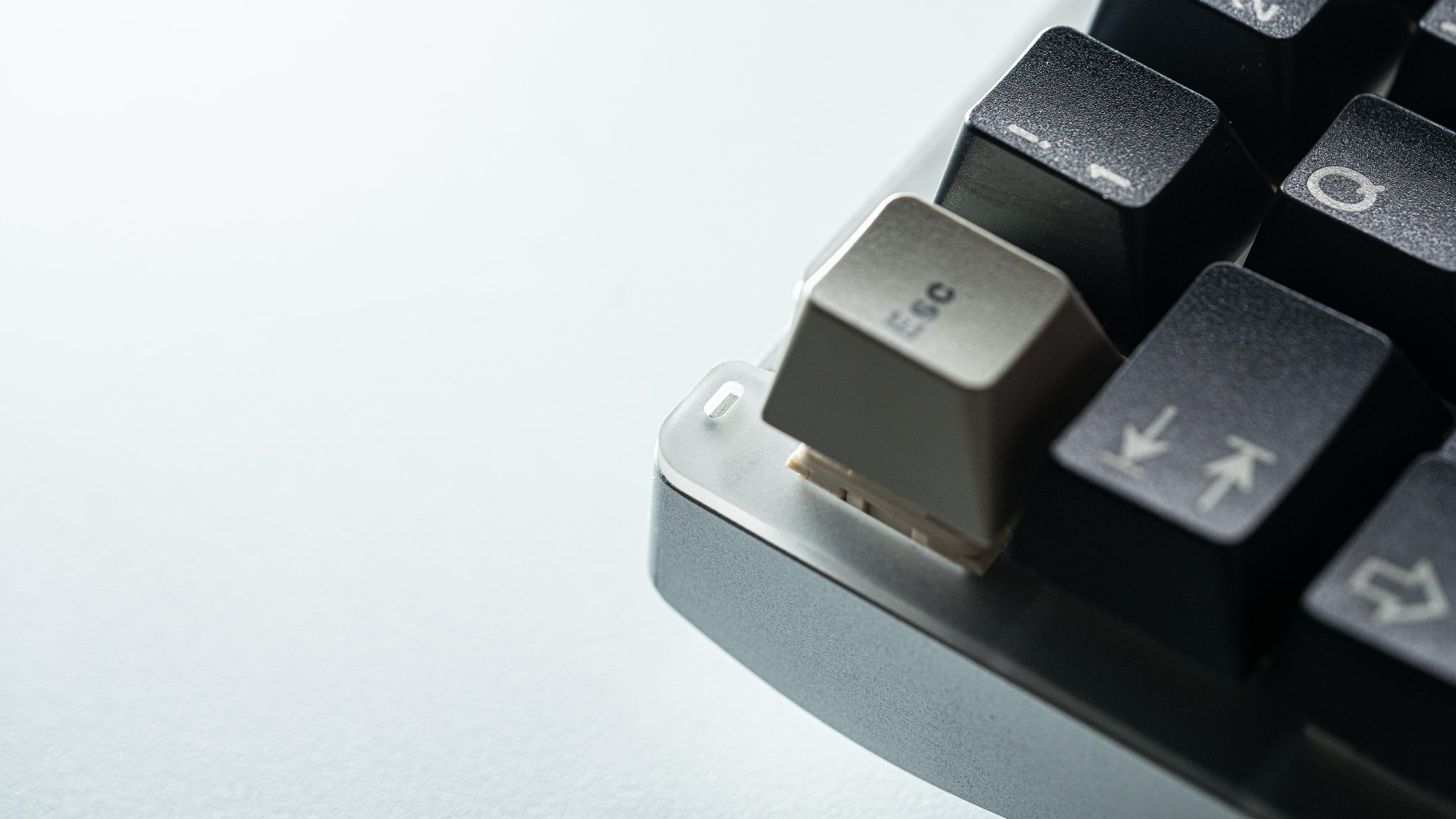 Phidias F-row less 1800 keyboard | Canceled GB image 14