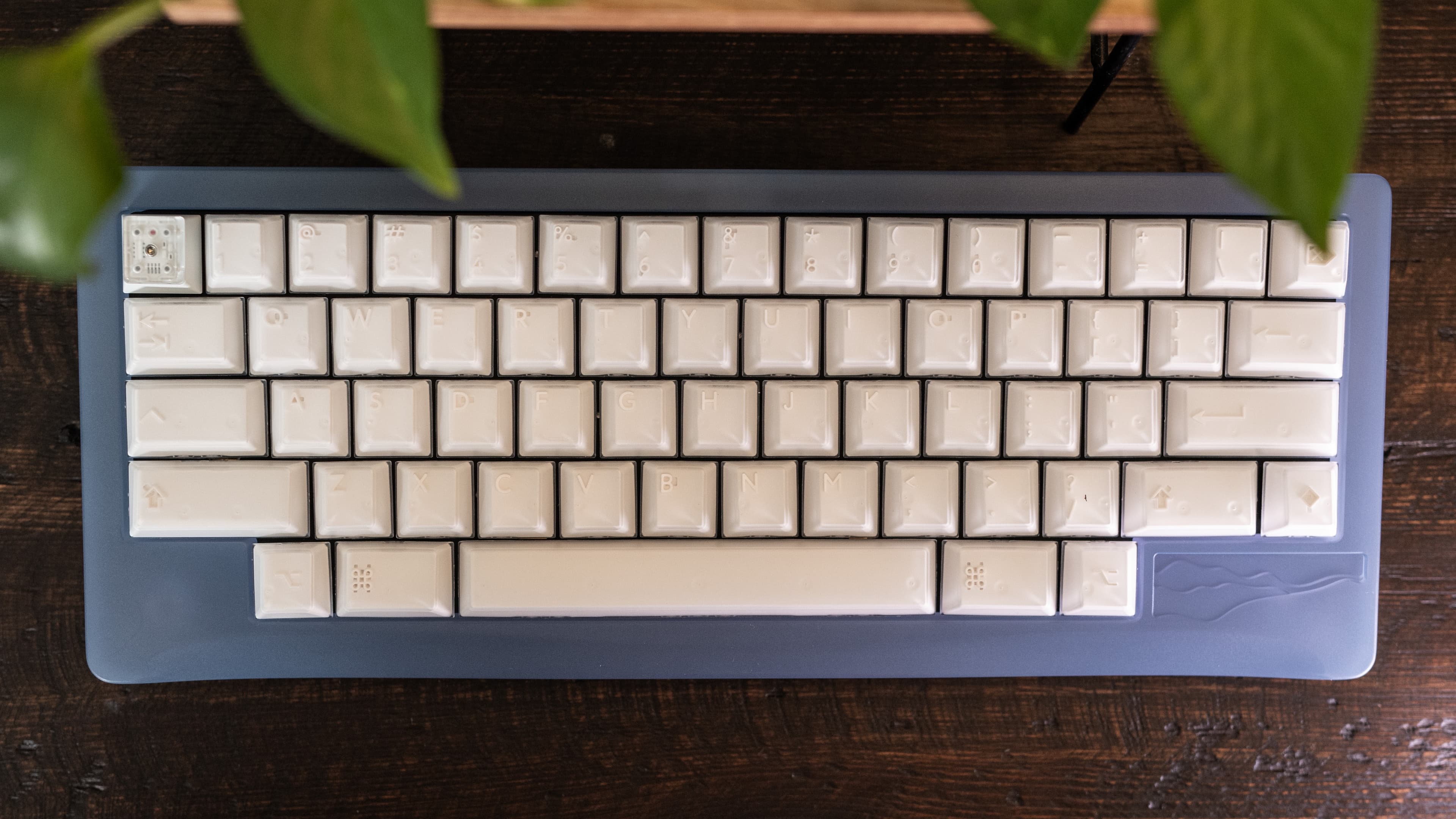 Blue Ridge HHKB (friction-fit mounted, with a hybrid MX/EC PCB) | Vendors! image 29