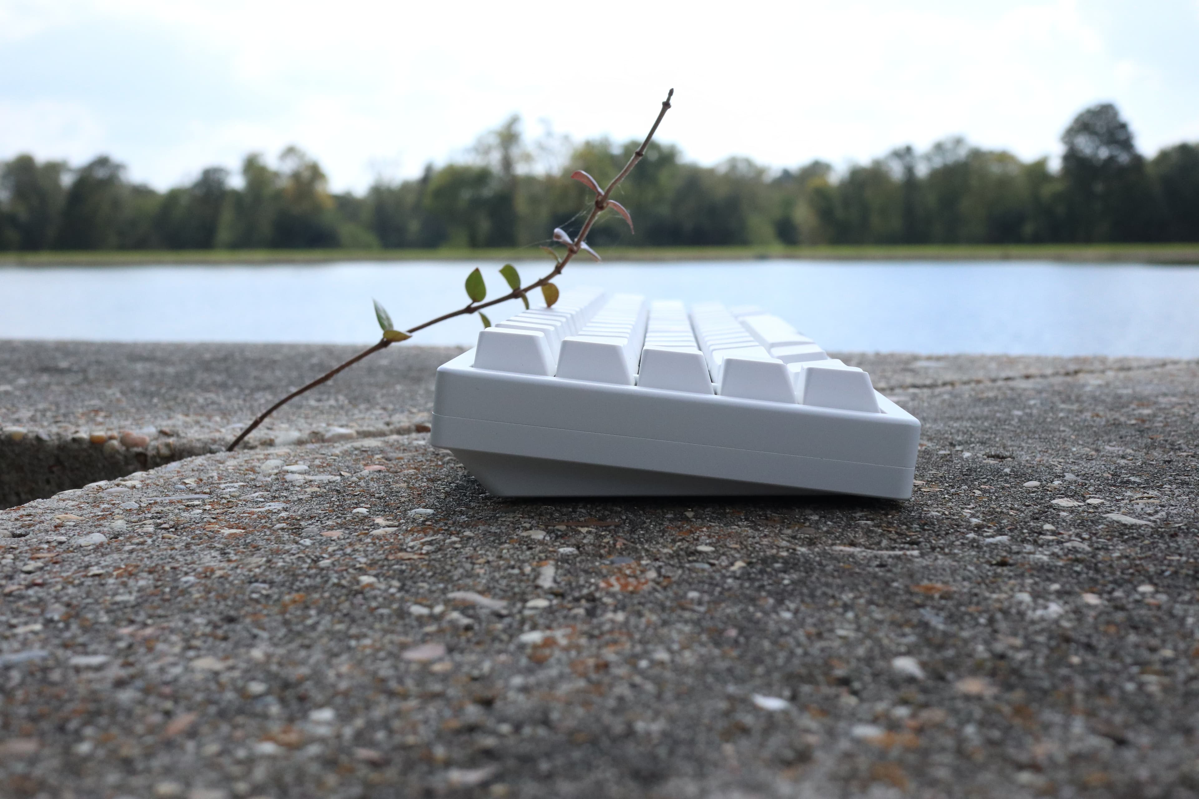 Tsukuyomi - 65 + macro column image 4