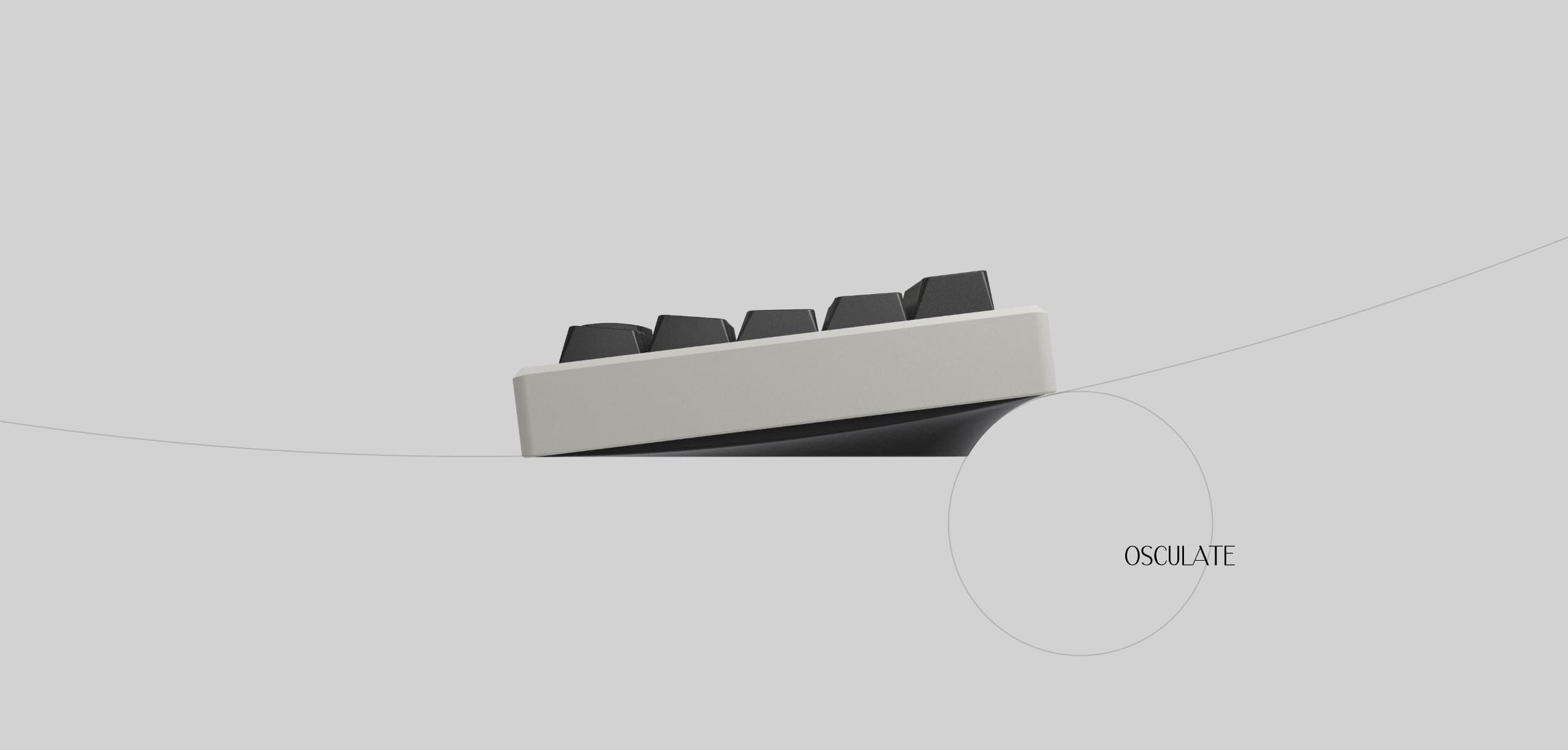 OINN 65 Keyboard image 4