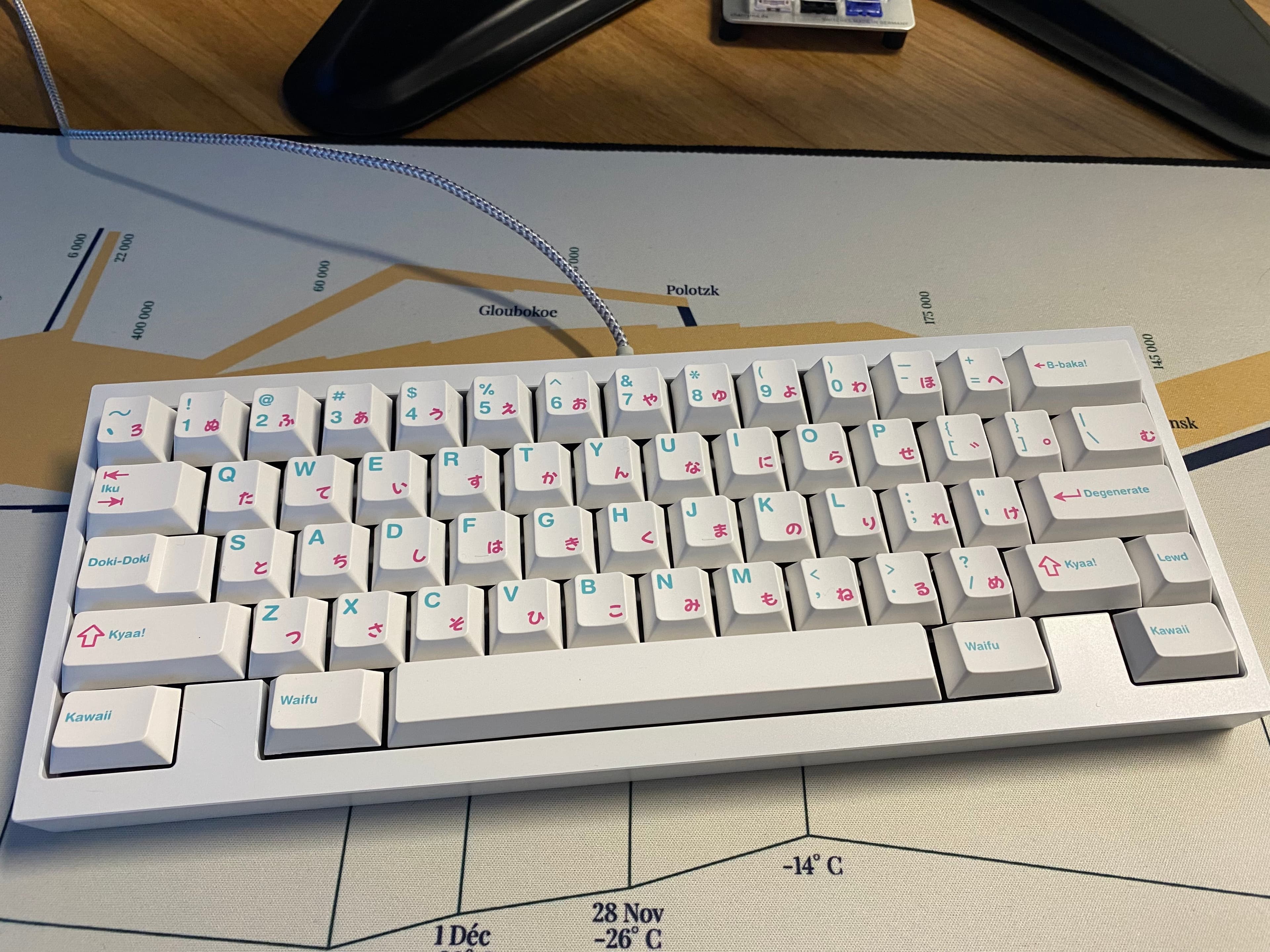 Milkyway 2DGF - shipping to customers image 20