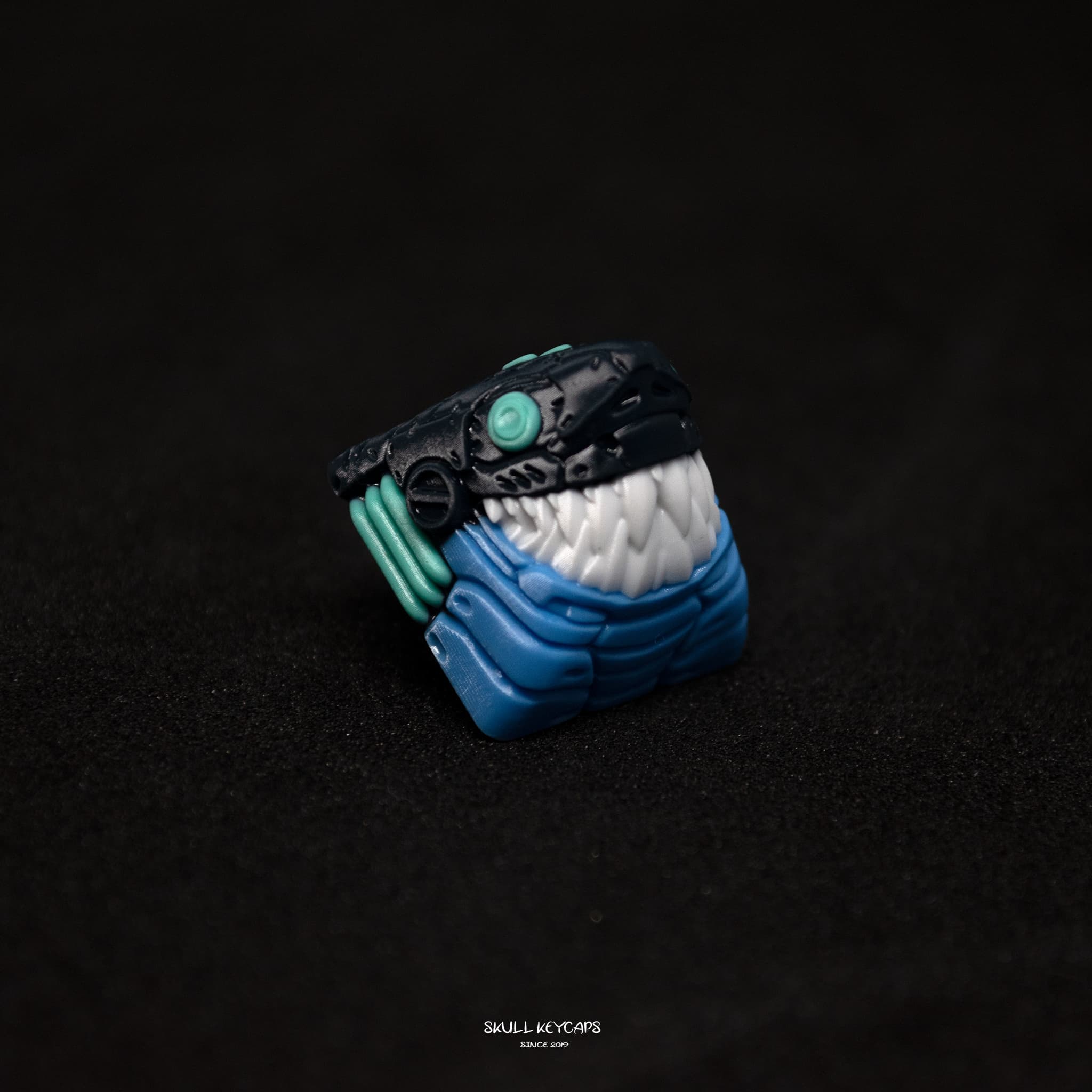 PBTfans Basin | Delivered! image 67