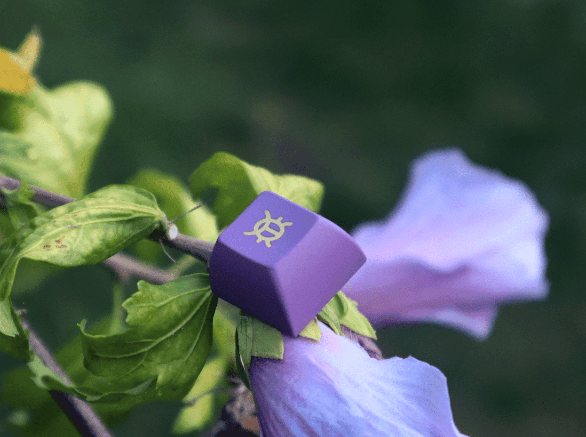 KAT Cyberspace - FINISHED - 720k units sold! image 54