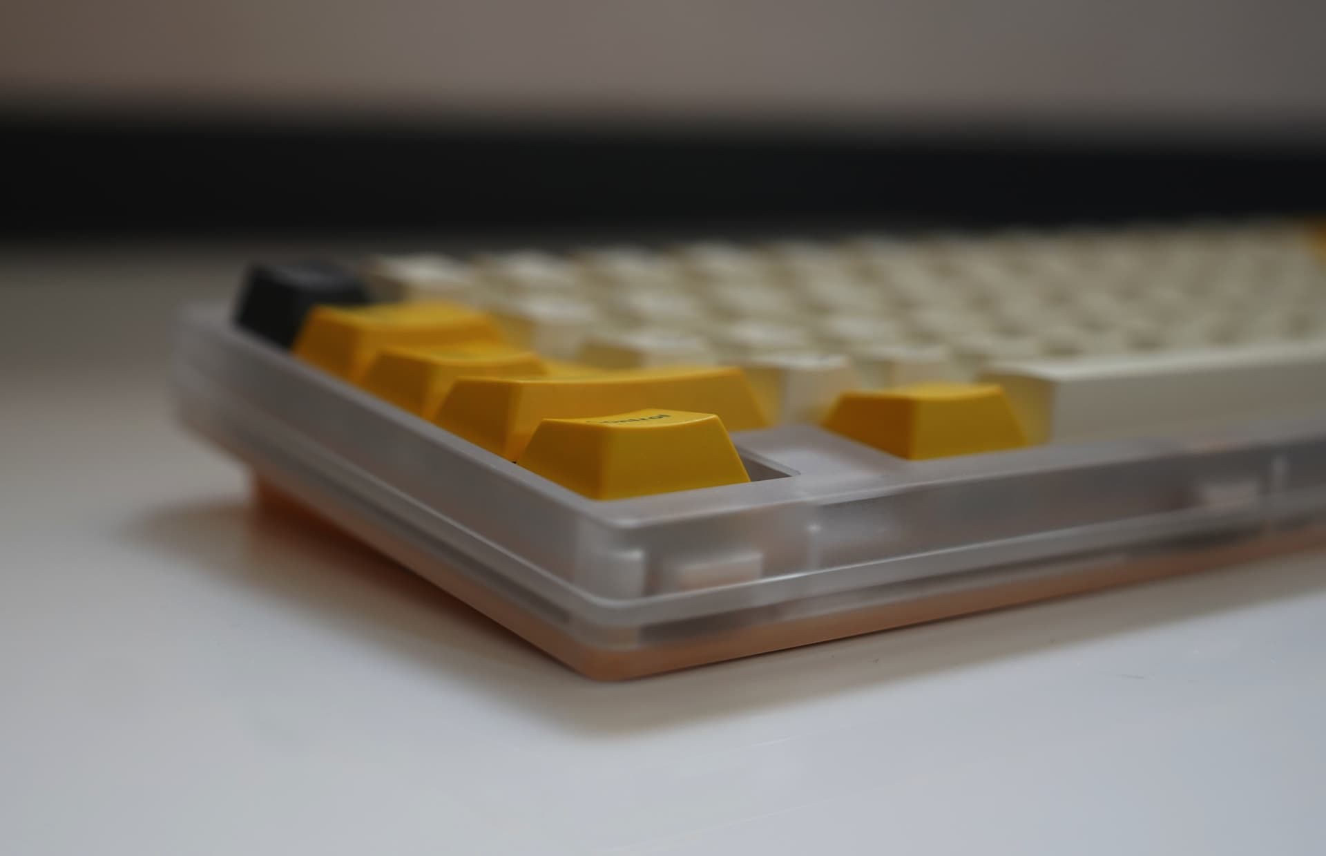 Fox Lab - Key 65 image 24